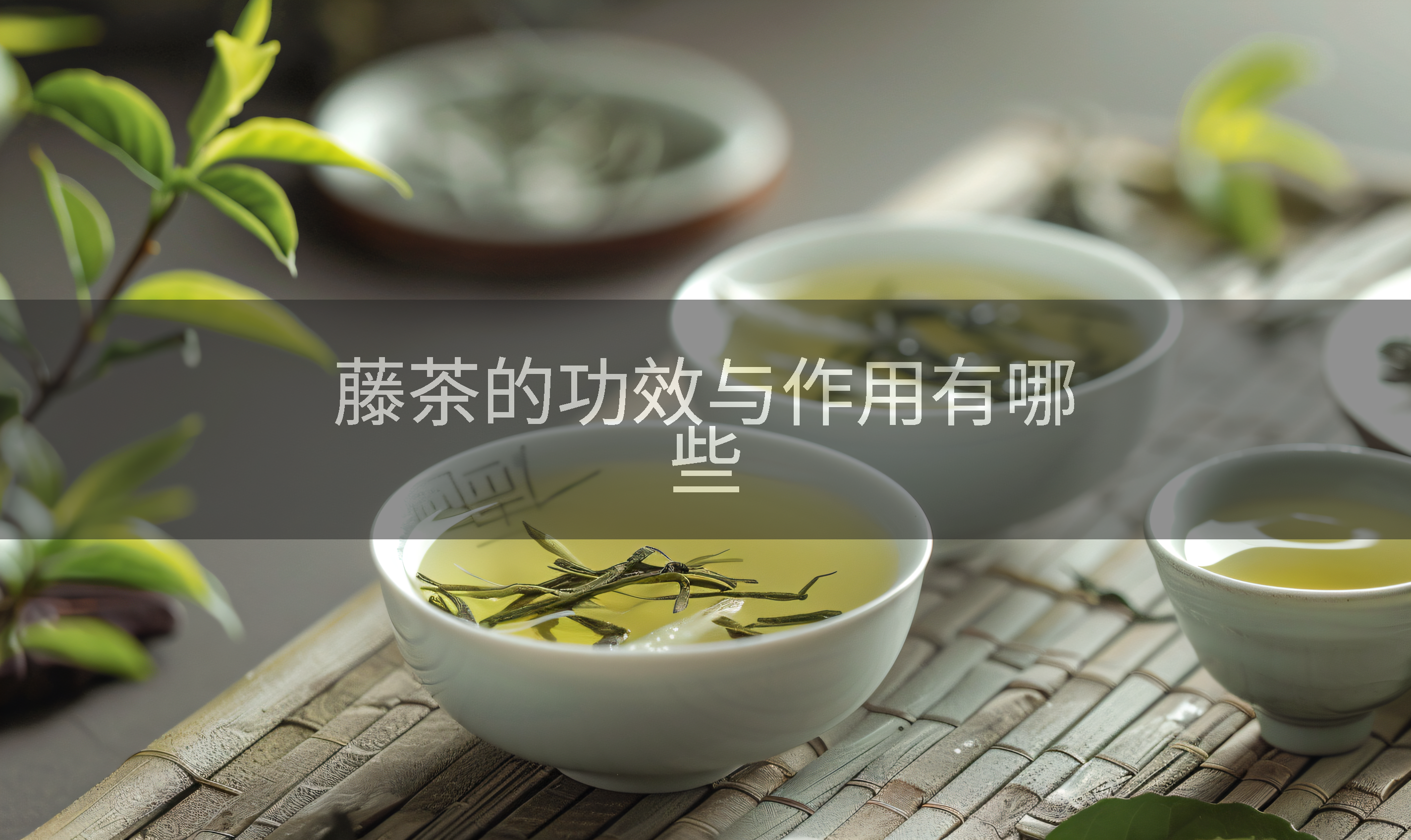 藤茶的功效与作用有哪些