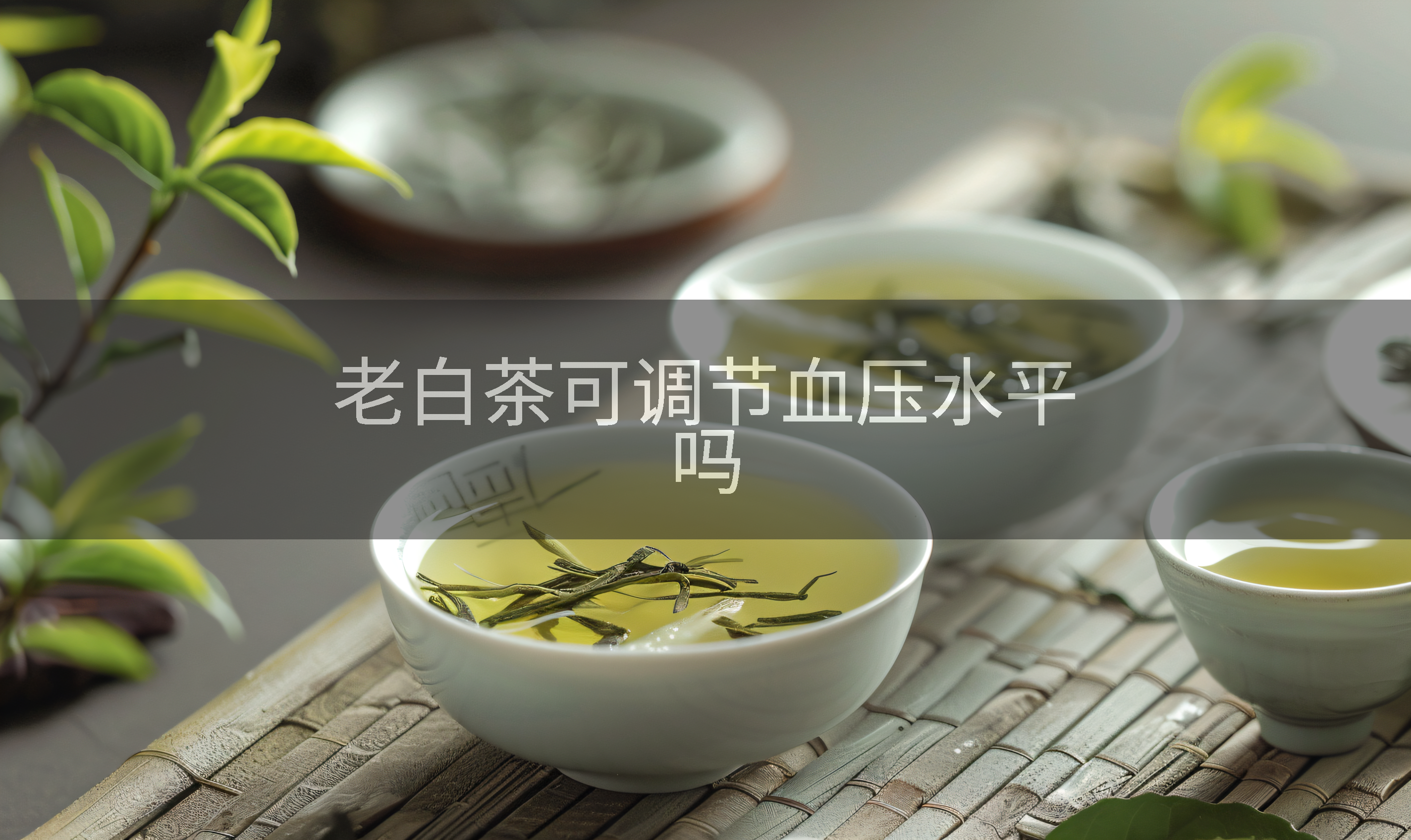 老白茶可调节血压水平吗