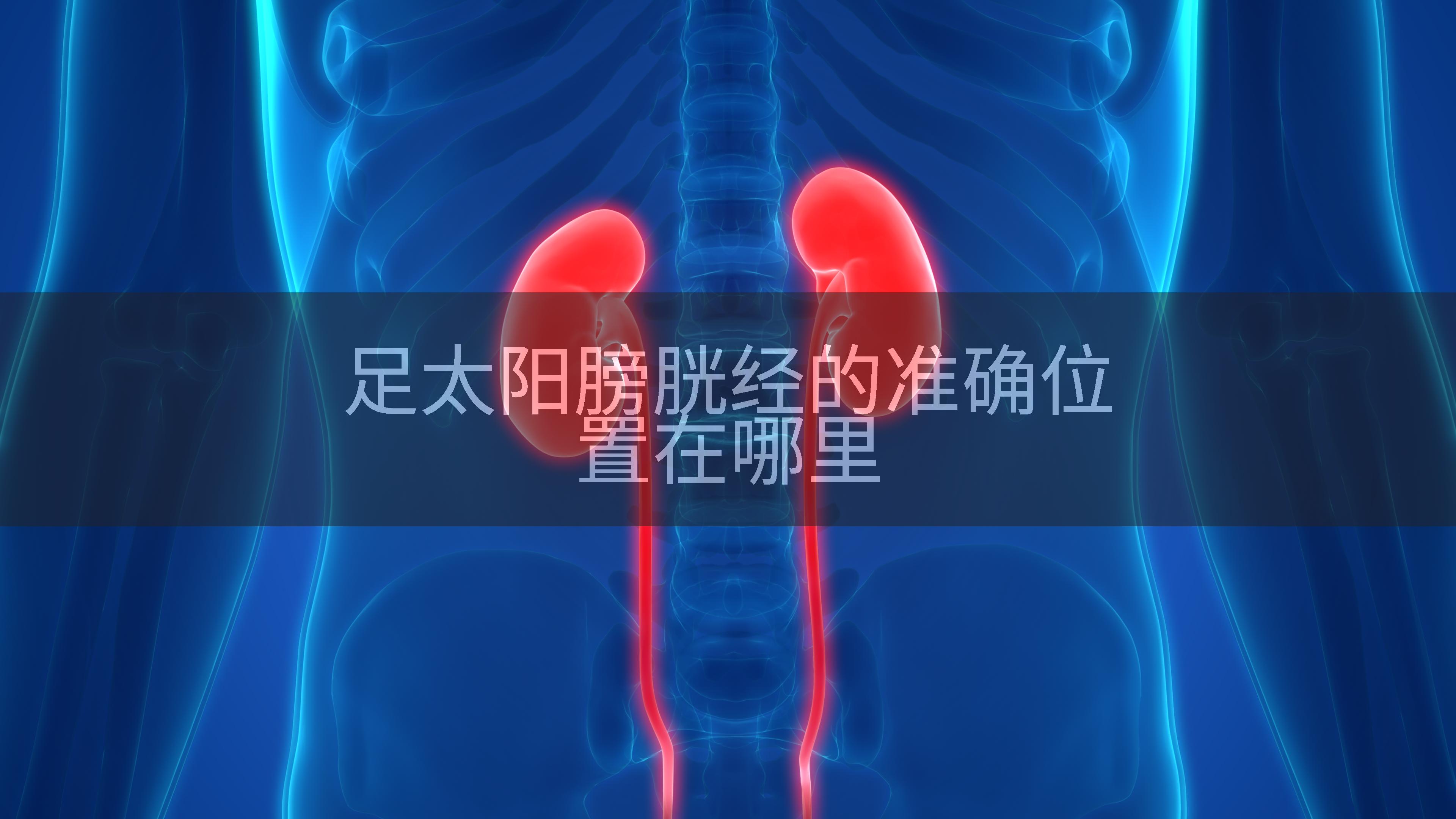 足太阳膀胱经的准确位置在哪里