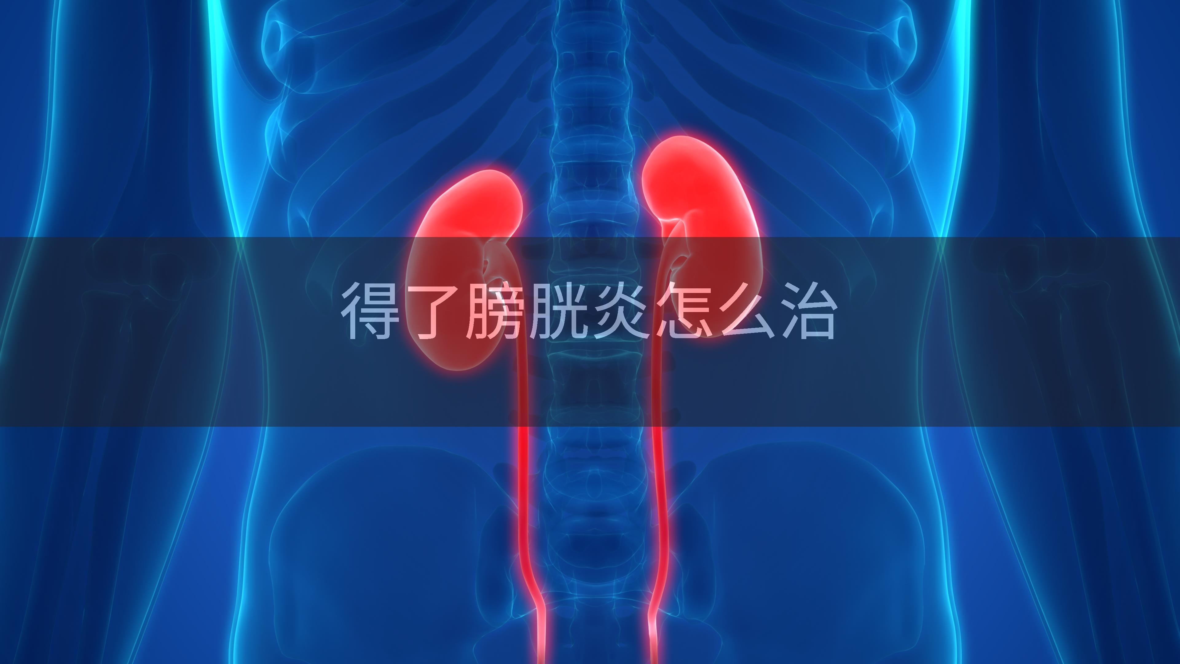 得了膀胱炎怎么治