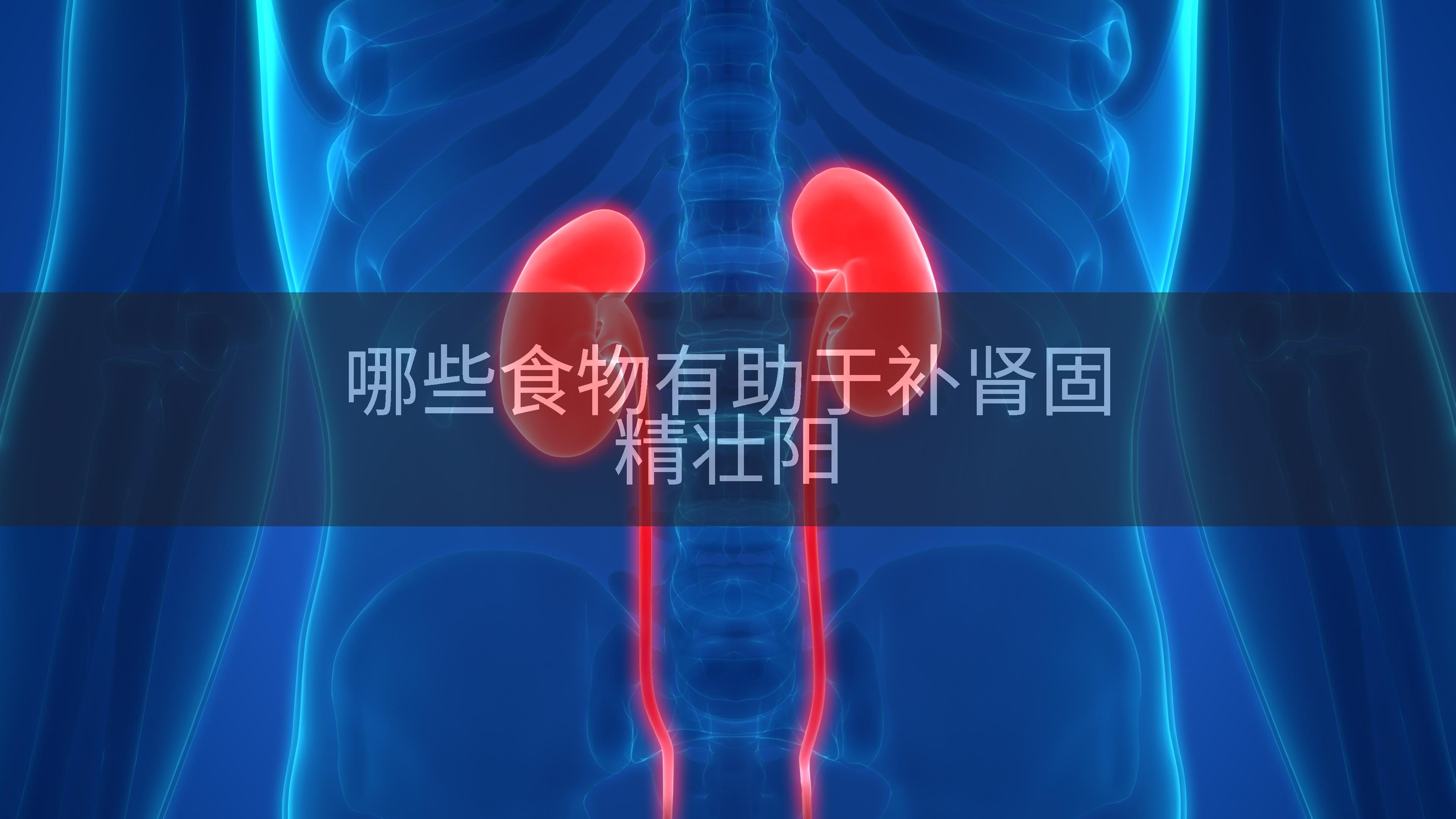 哪些食物有助于补肾固精壮阳