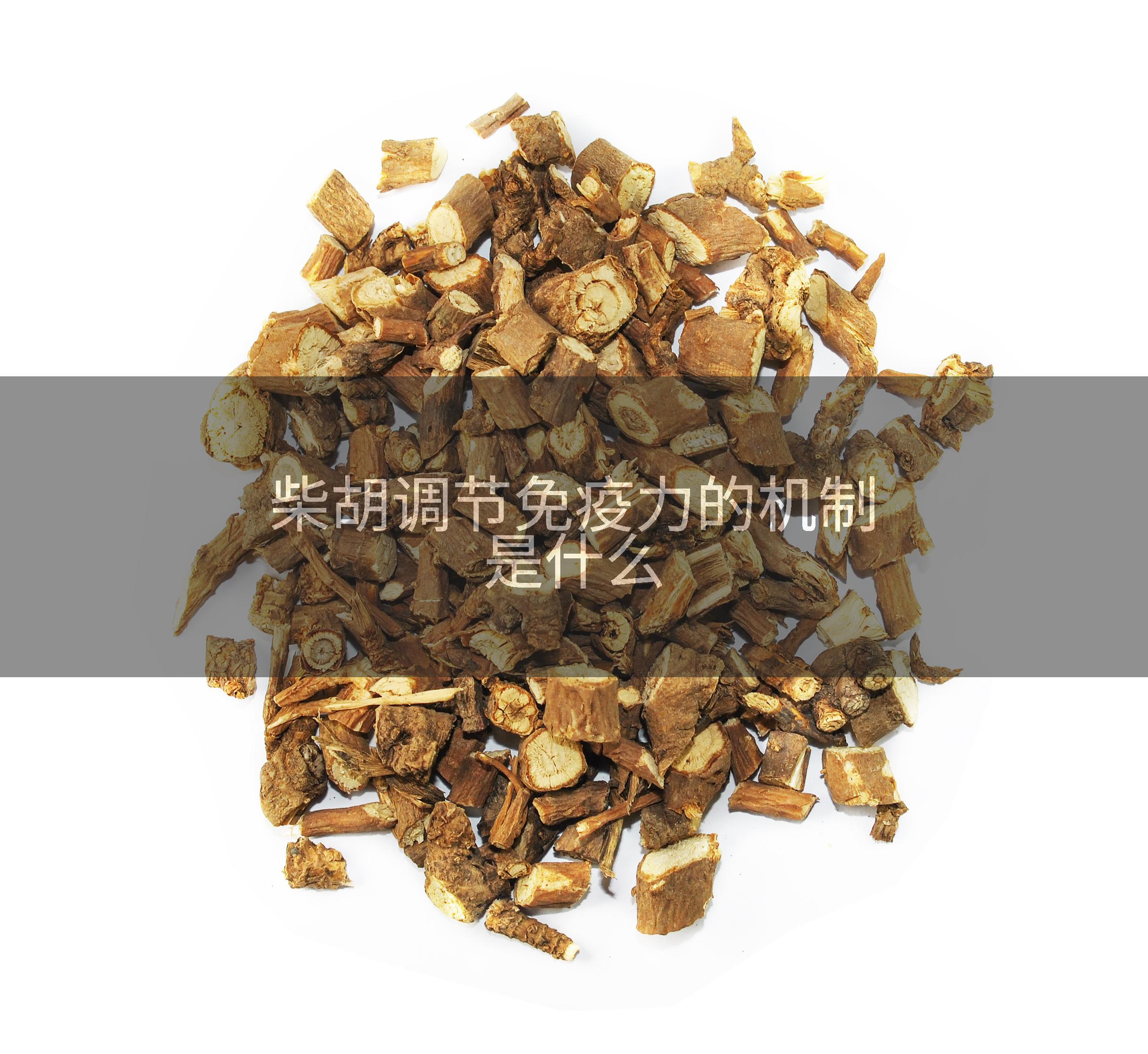 柴胡调节免疫力的机制是什么