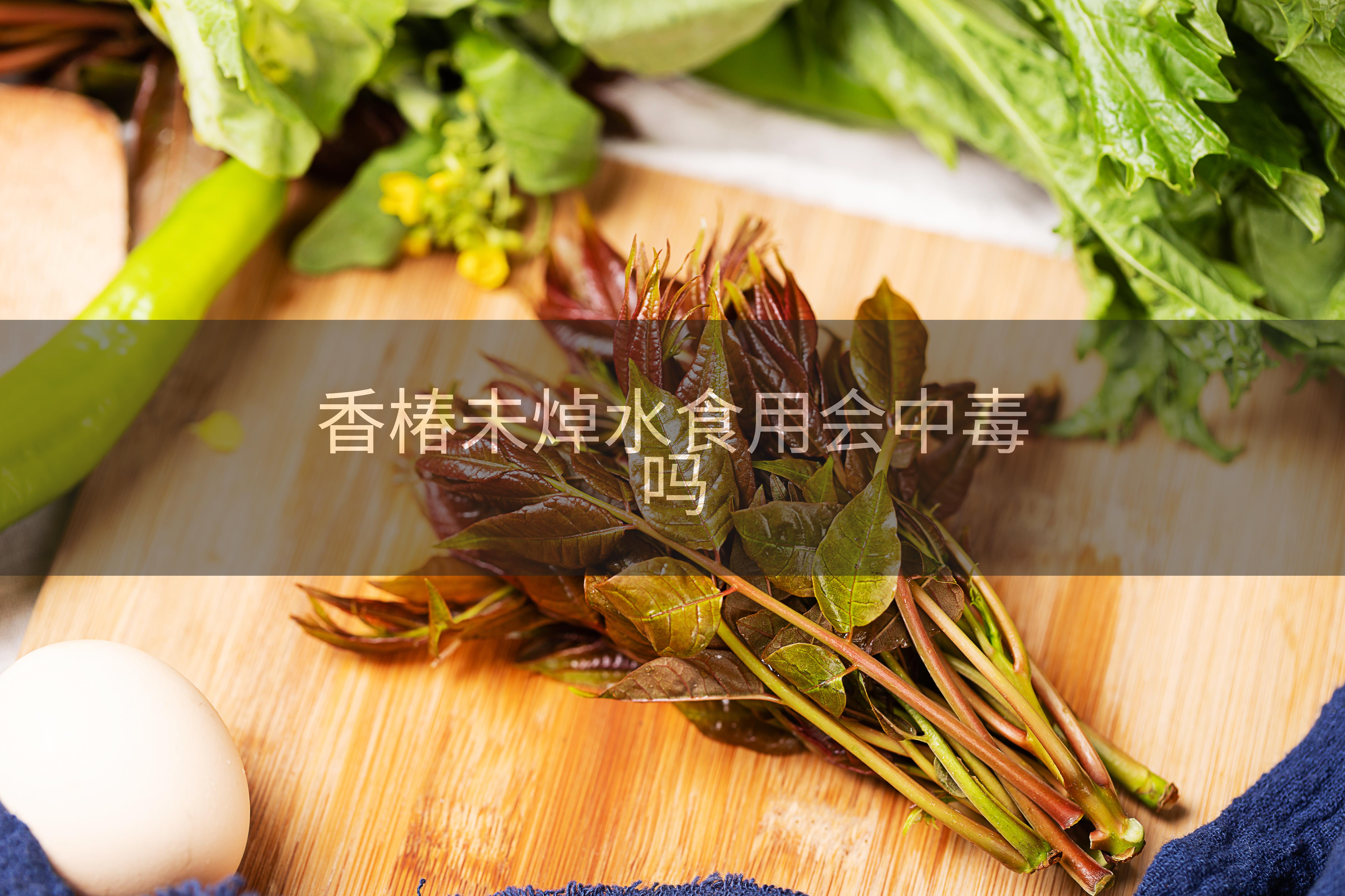 香椿未焯水食用会中毒吗