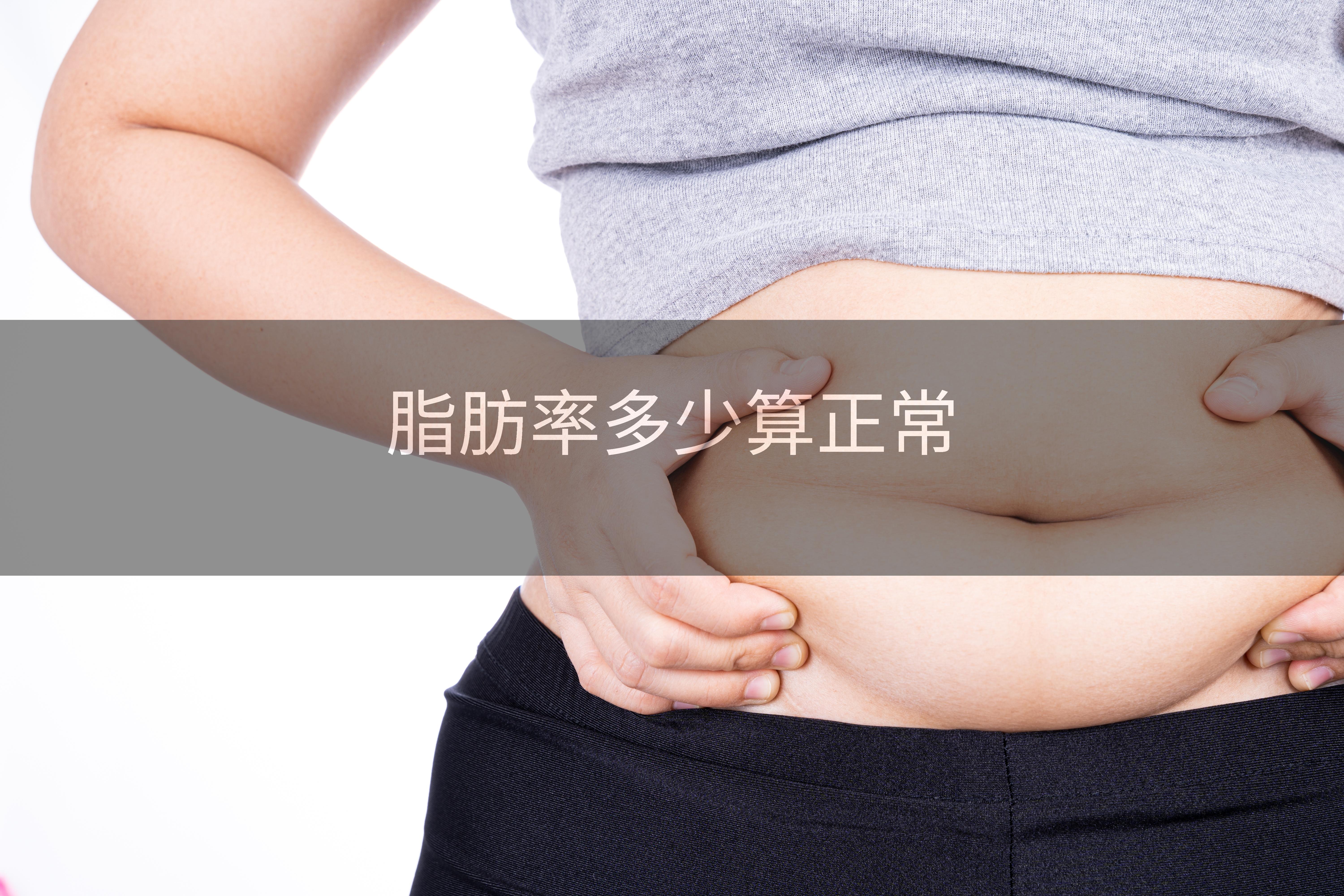 脂肪率多少算正常