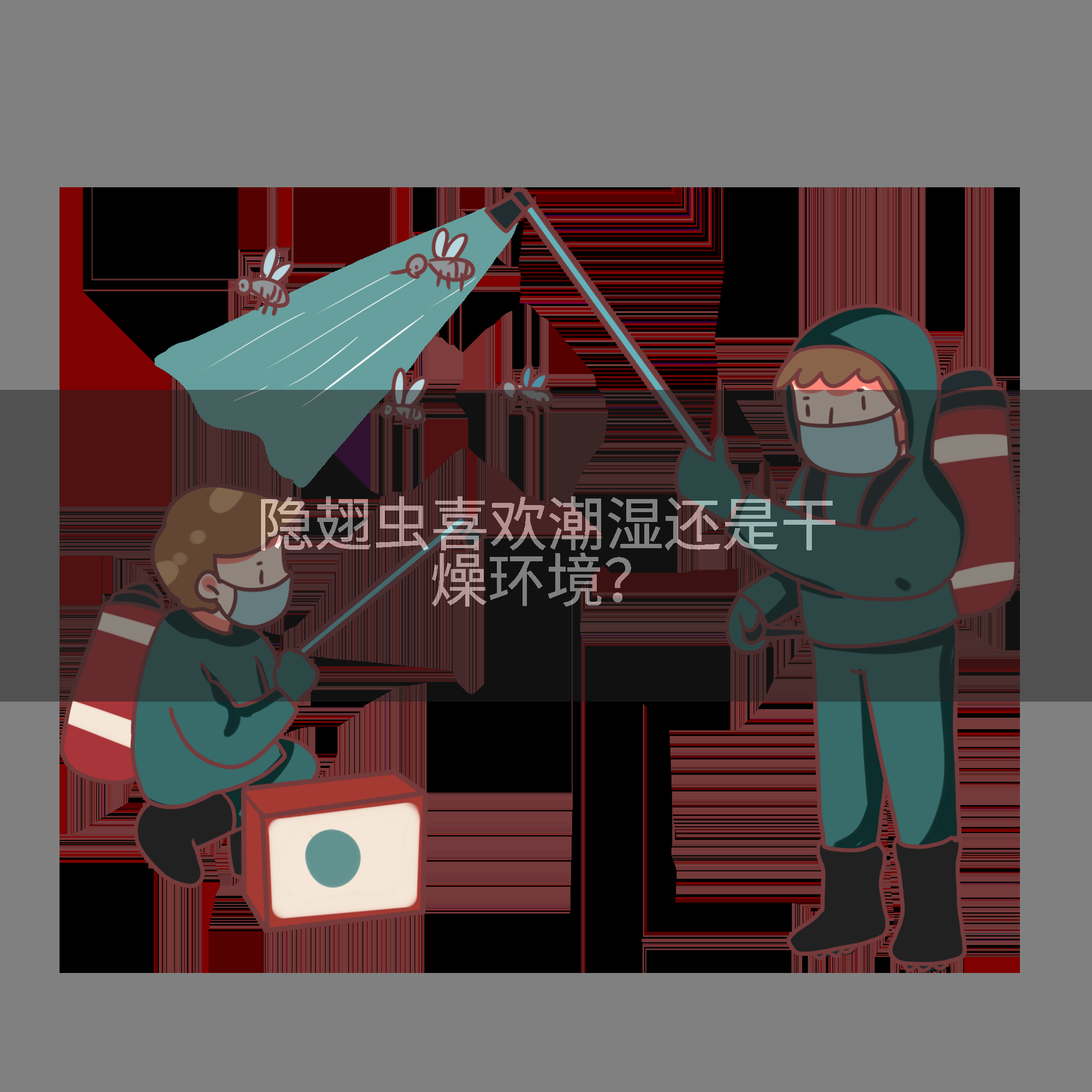 隐翅虫喜欢潮湿还是干燥环境？