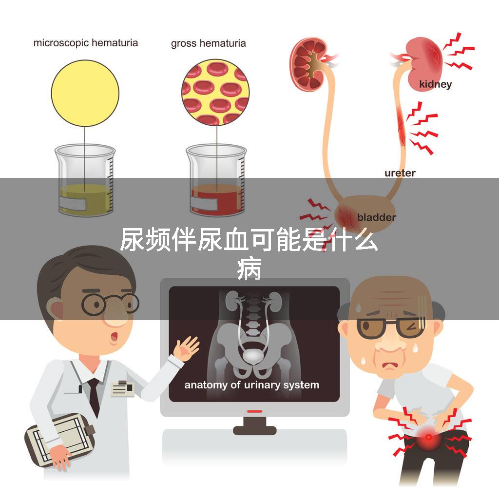 尿频伴尿血可能是什么病