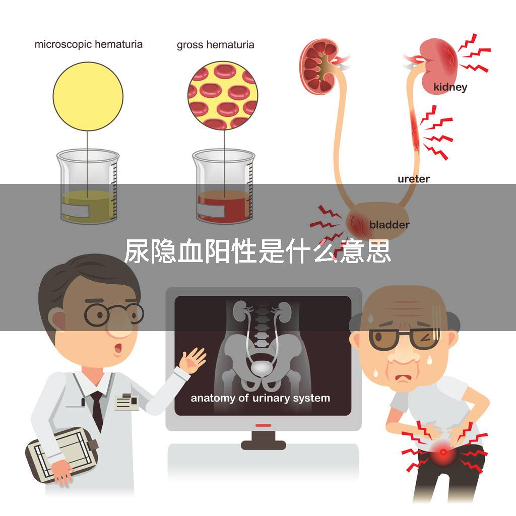 尿隐血阳性是什么意思