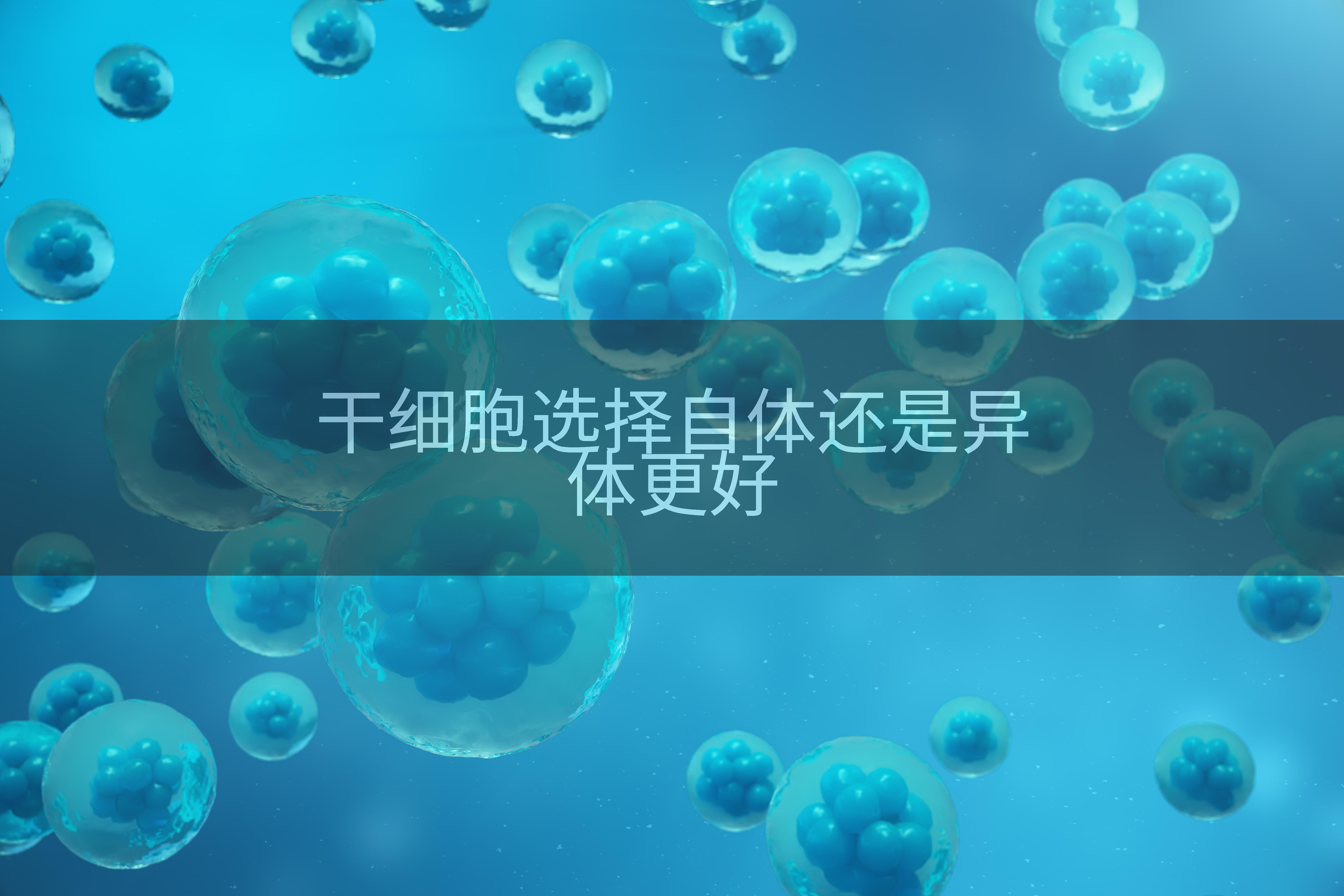 干细胞选择自体还是异体更好