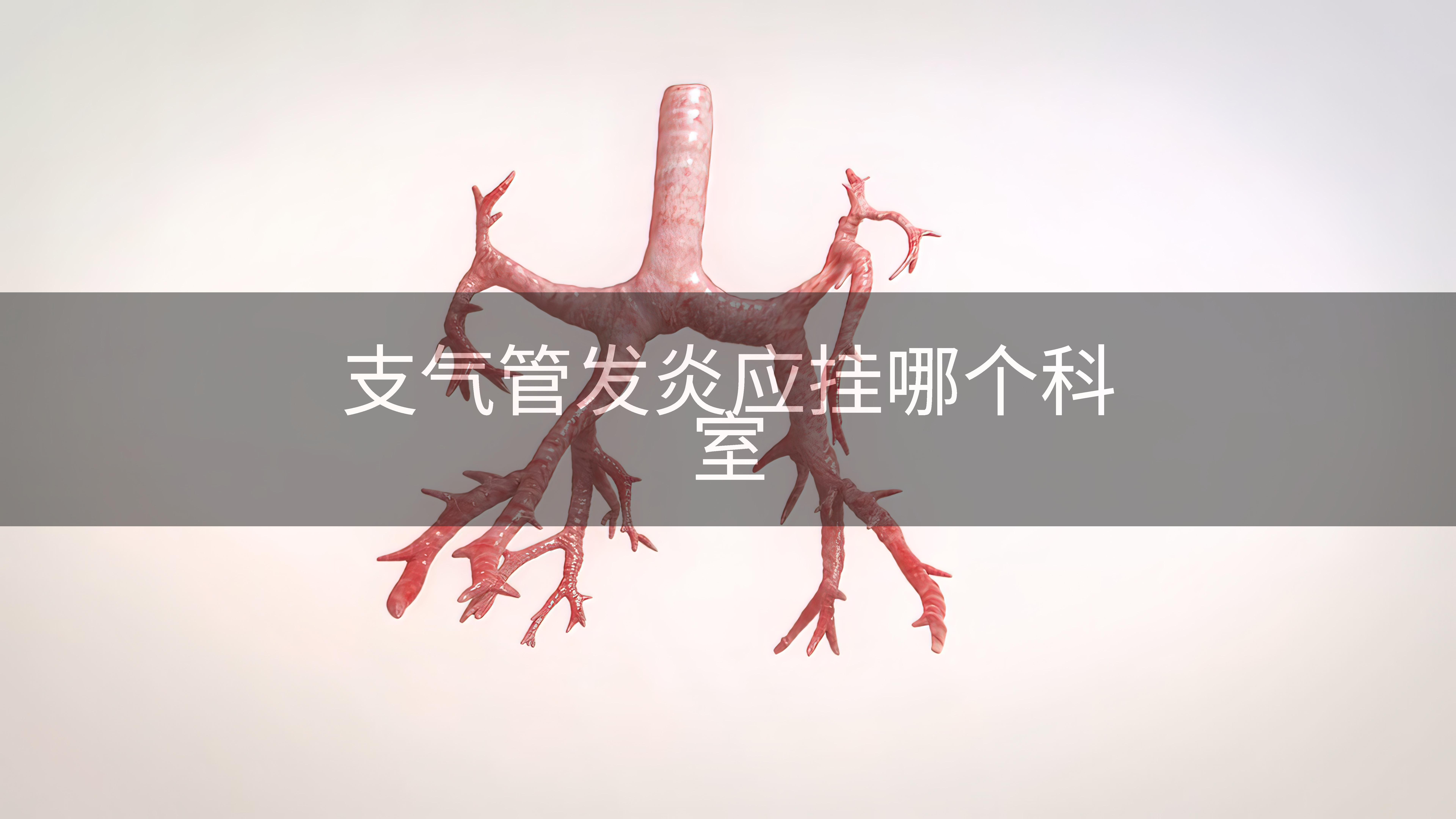 支气管发炎应挂哪个科室