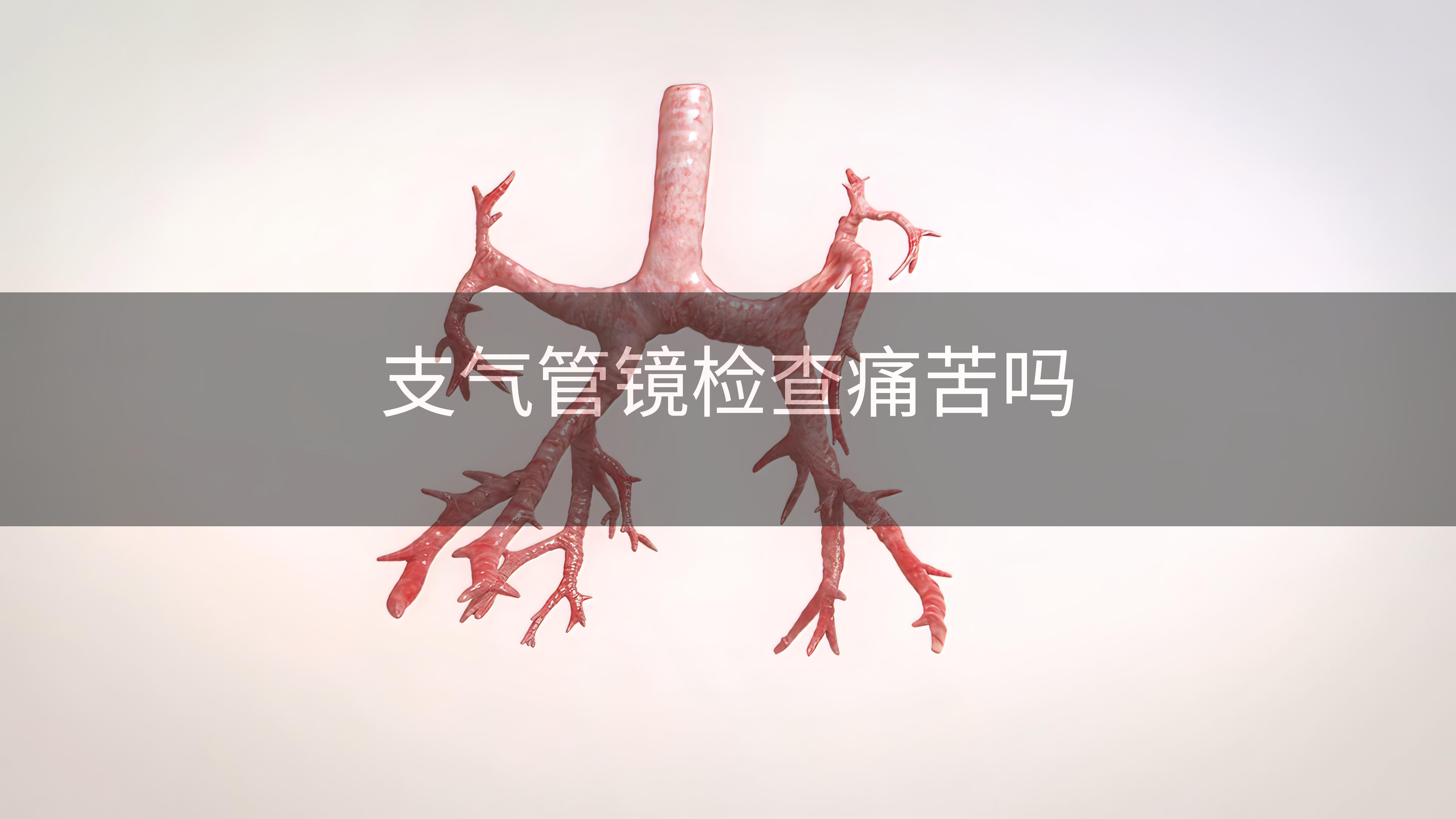 支气管镜检查痛苦吗