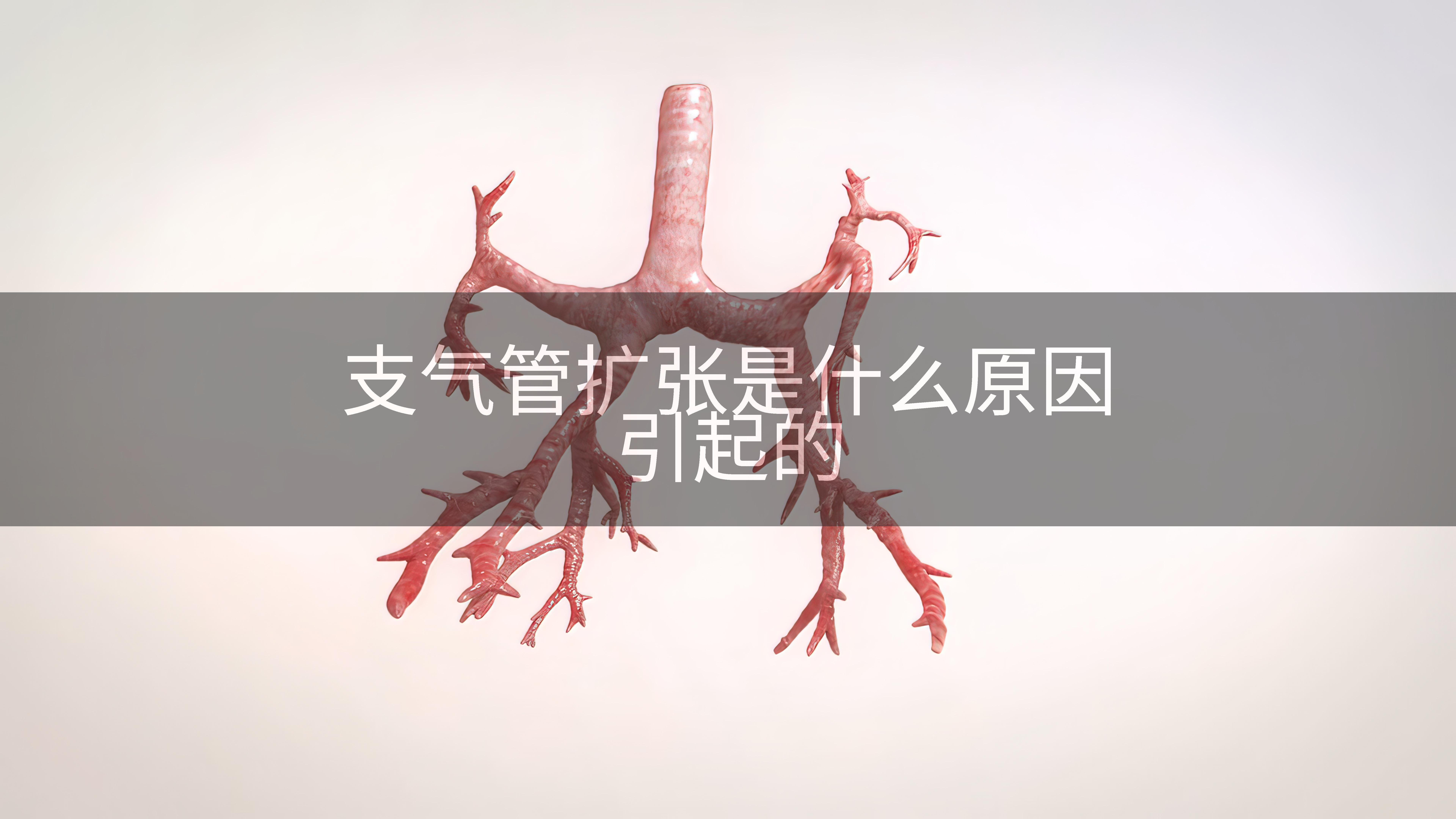 支气管扩张是什么原因引起的