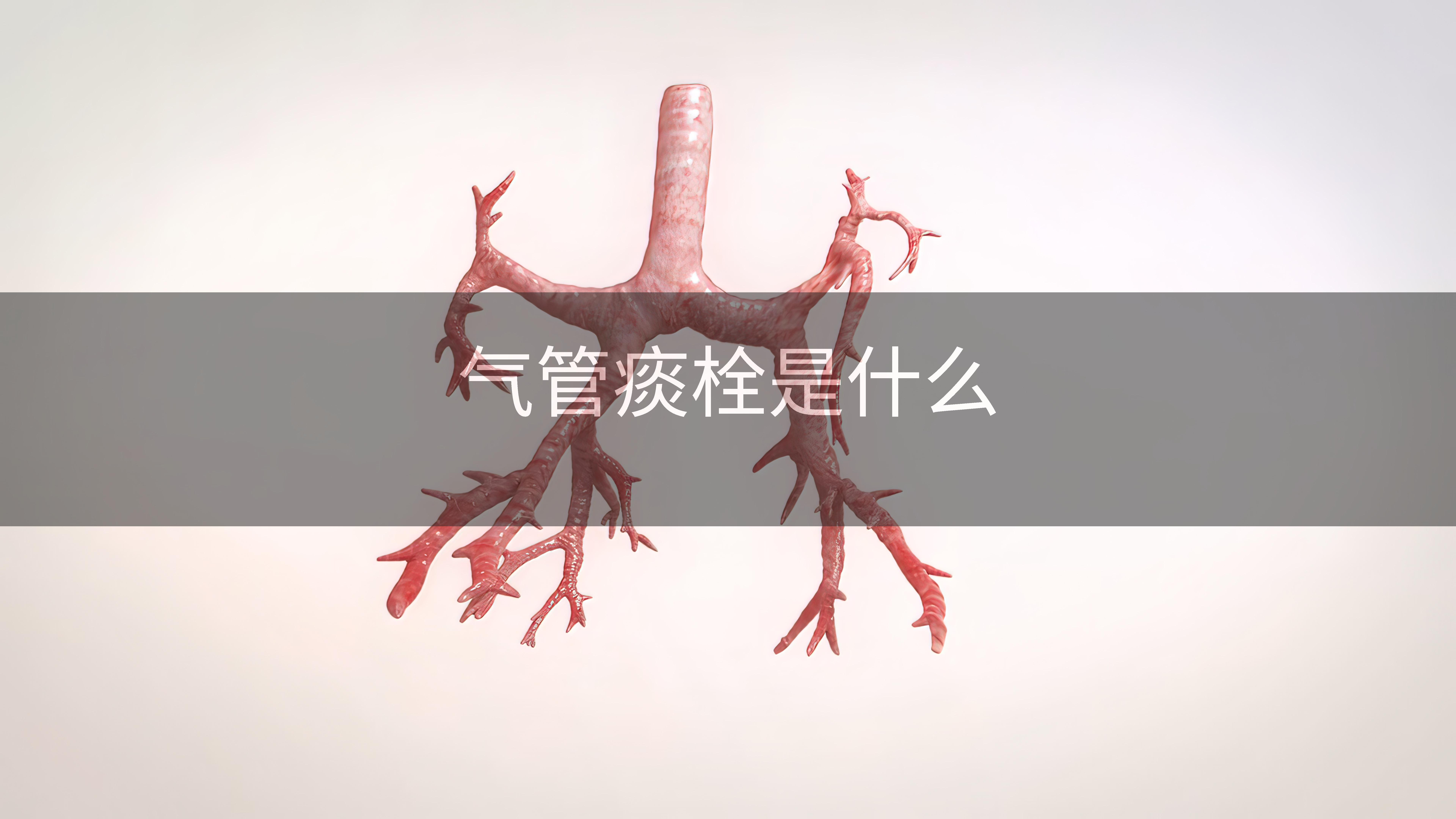 气管痰栓是什么