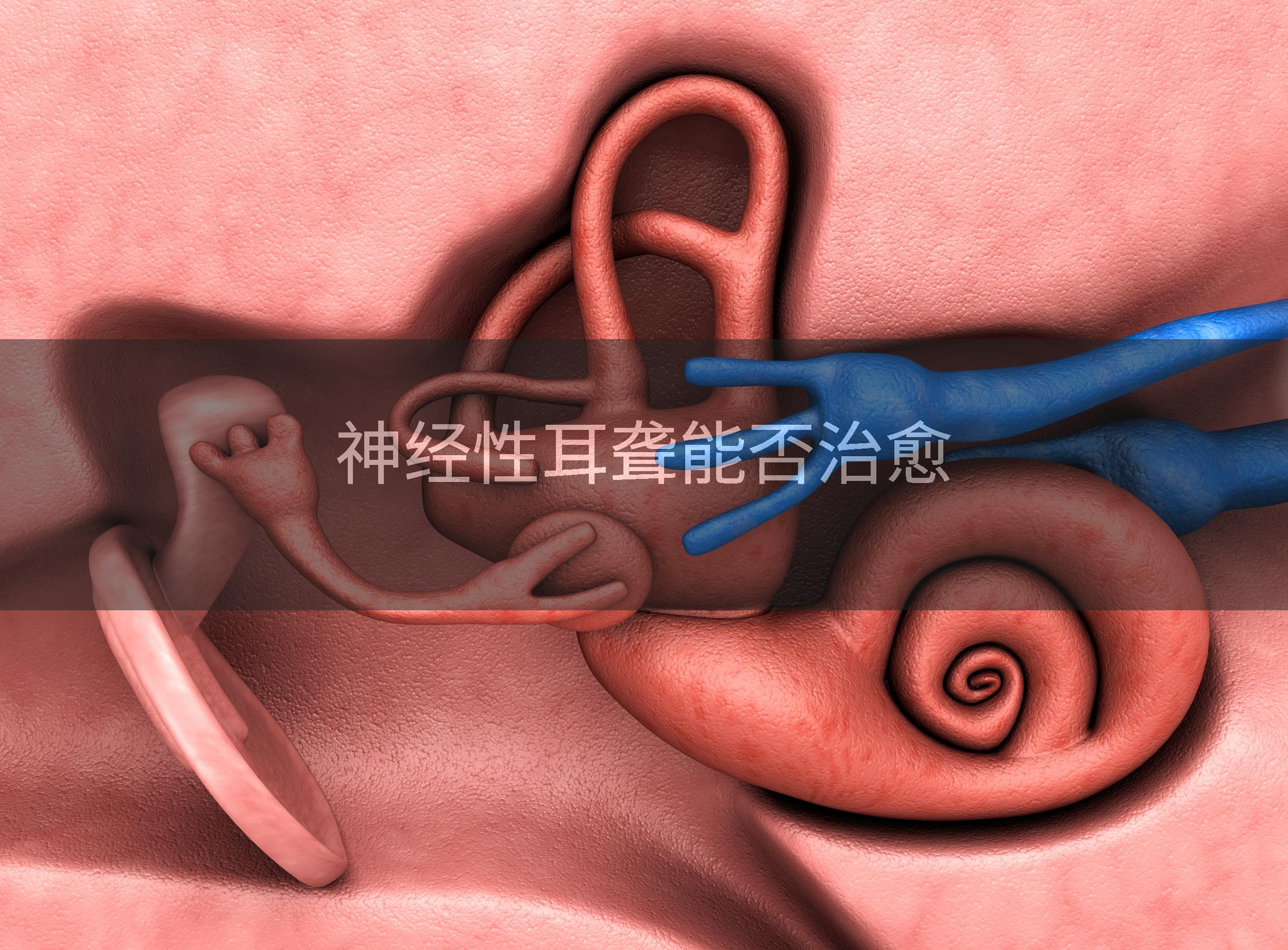 神经性耳聋能否治愈