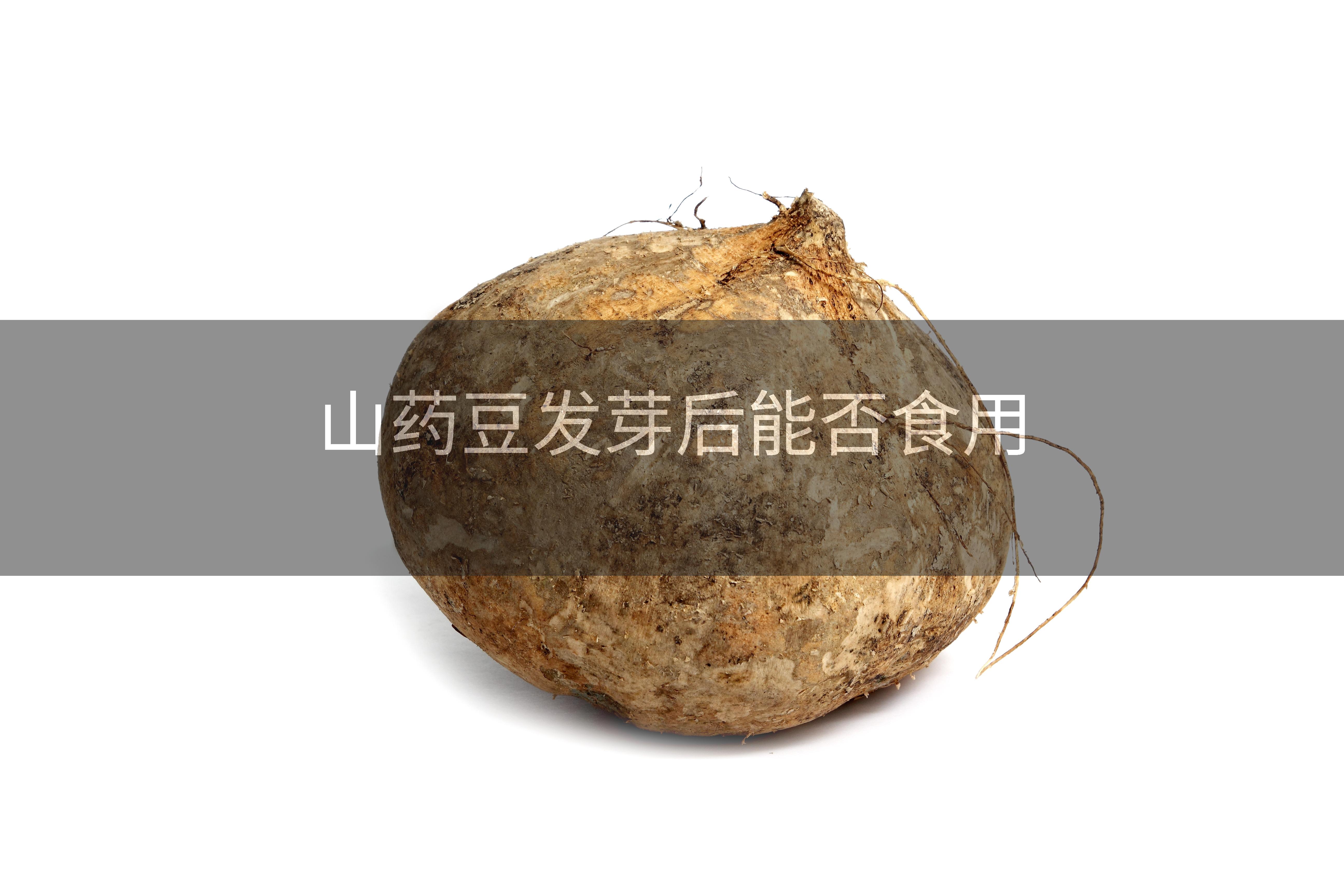 山药豆发芽后能否食用