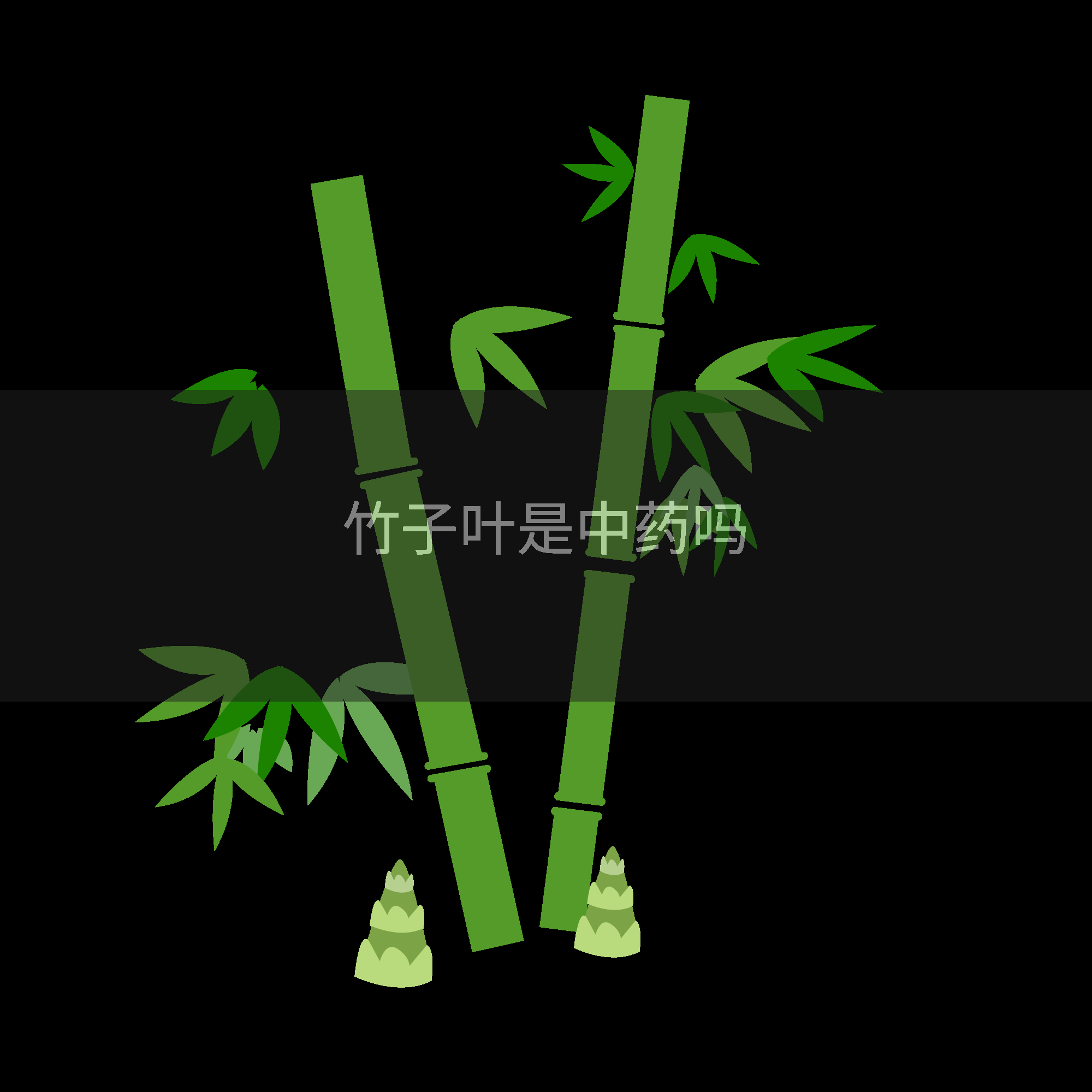 竹子叶是中药吗