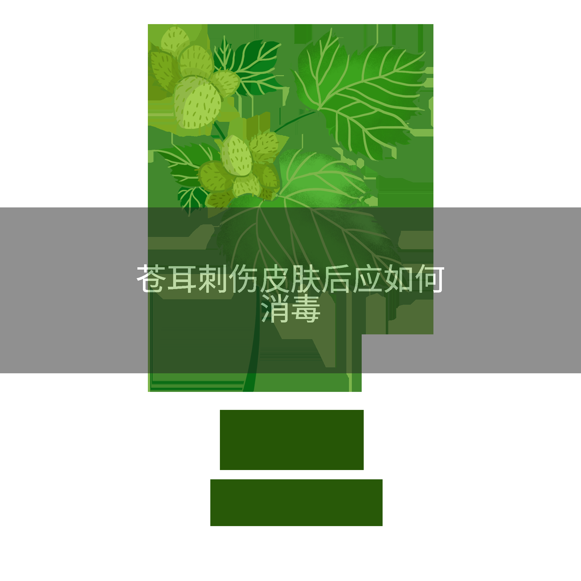 苍耳刺伤皮肤后应如何消毒