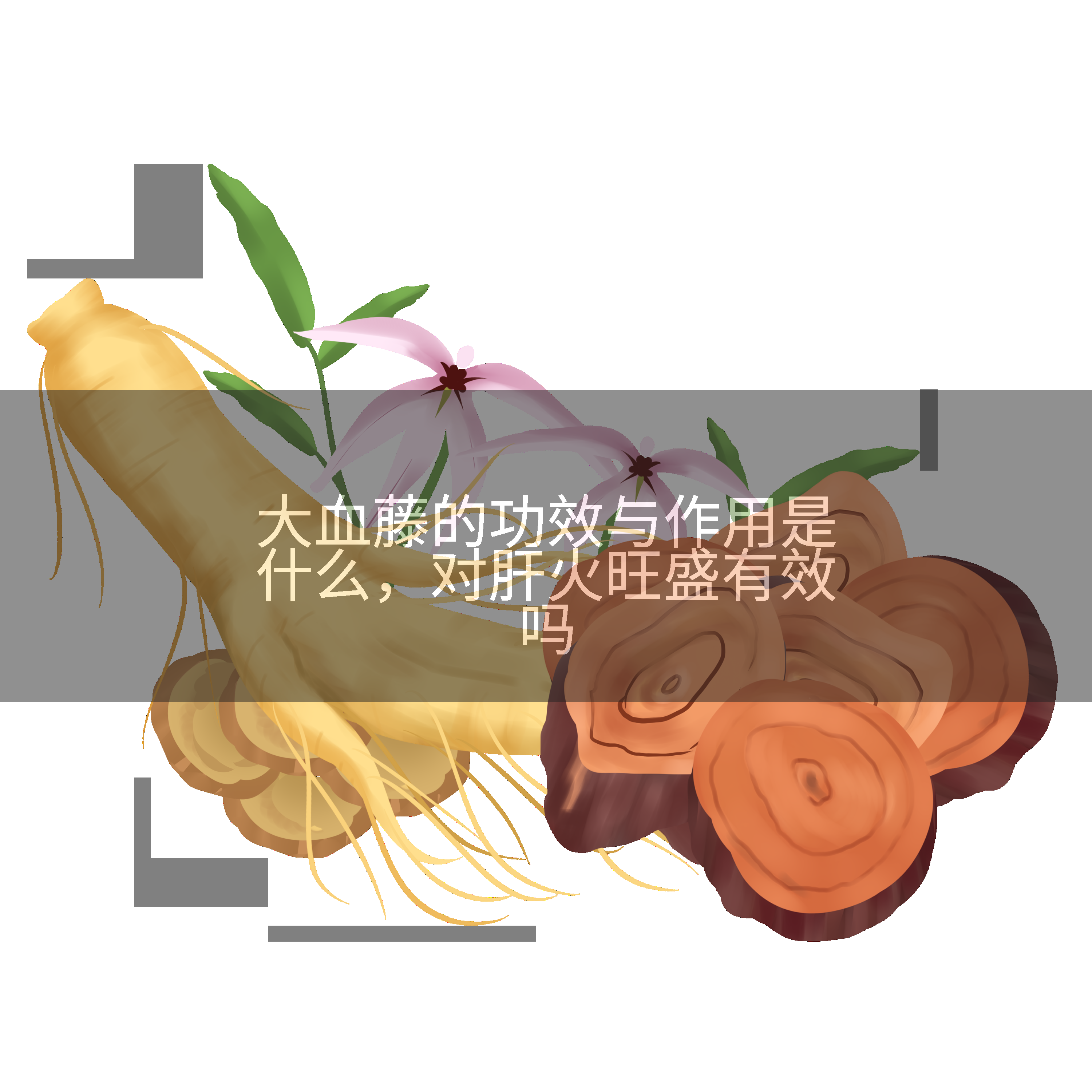 大血藤的功效与作用是什么，对肝火旺盛有效吗