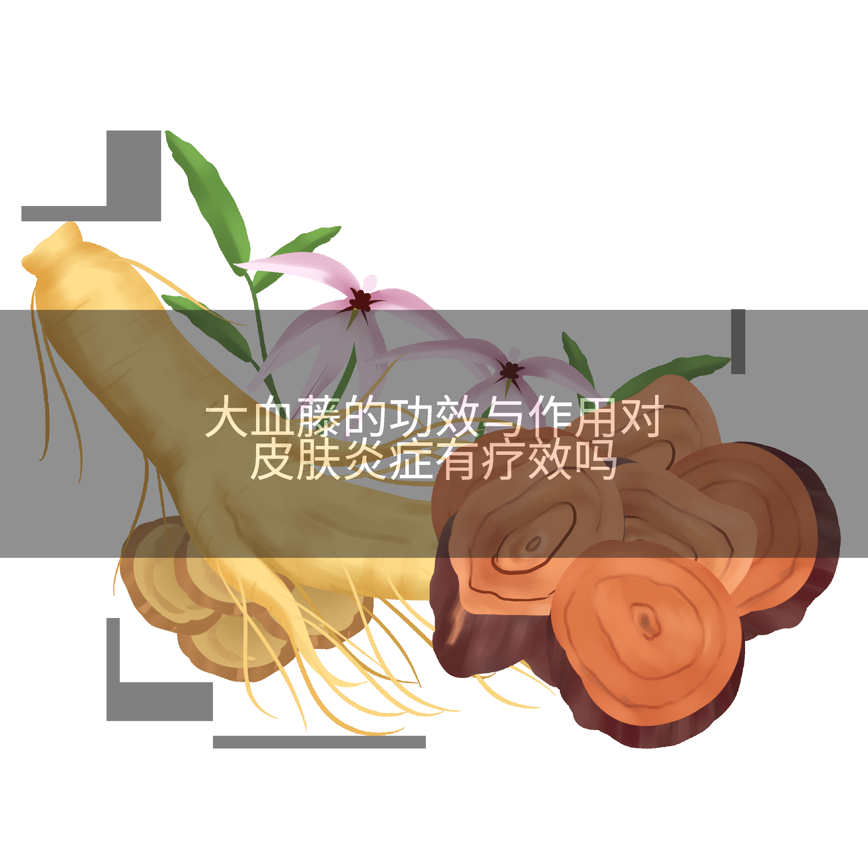 大血藤的功效与作用对皮肤炎症有疗效吗