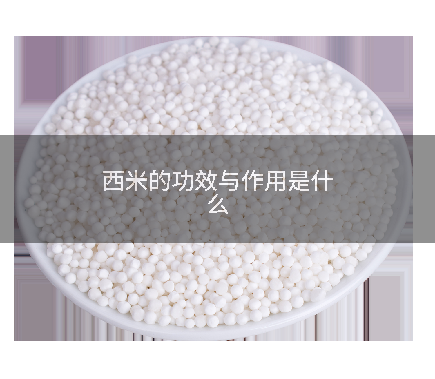 西米的功效与作用是什么