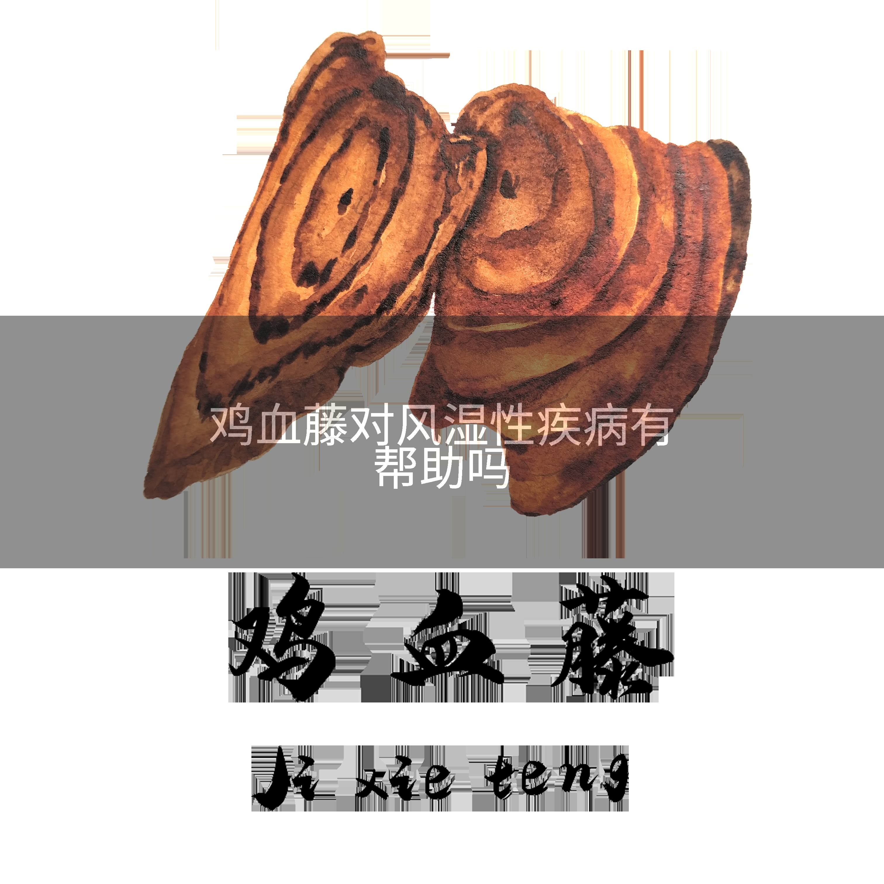 鸡血藤对风湿性疾病有帮助吗