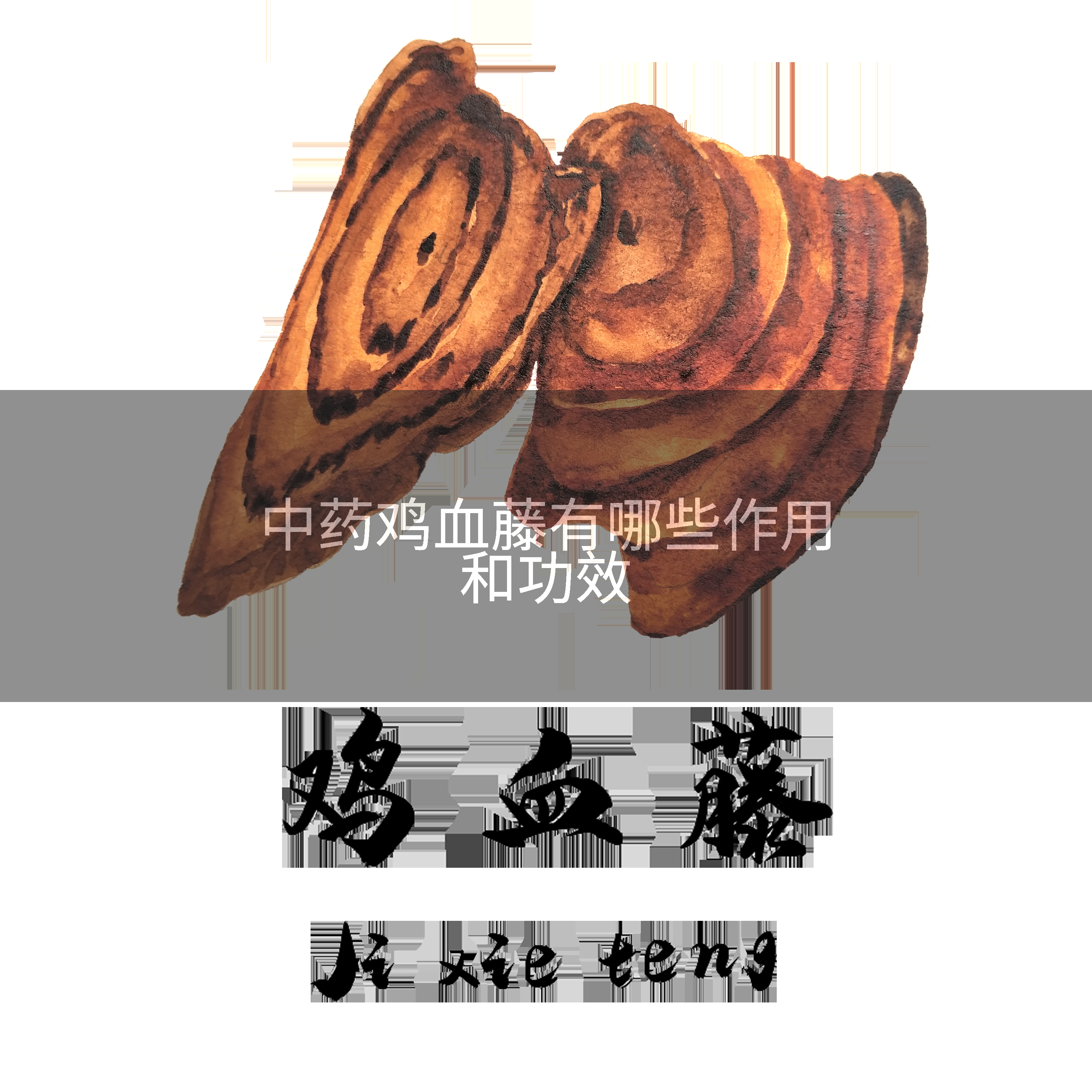 中药鸡血藤有哪些作用和功效