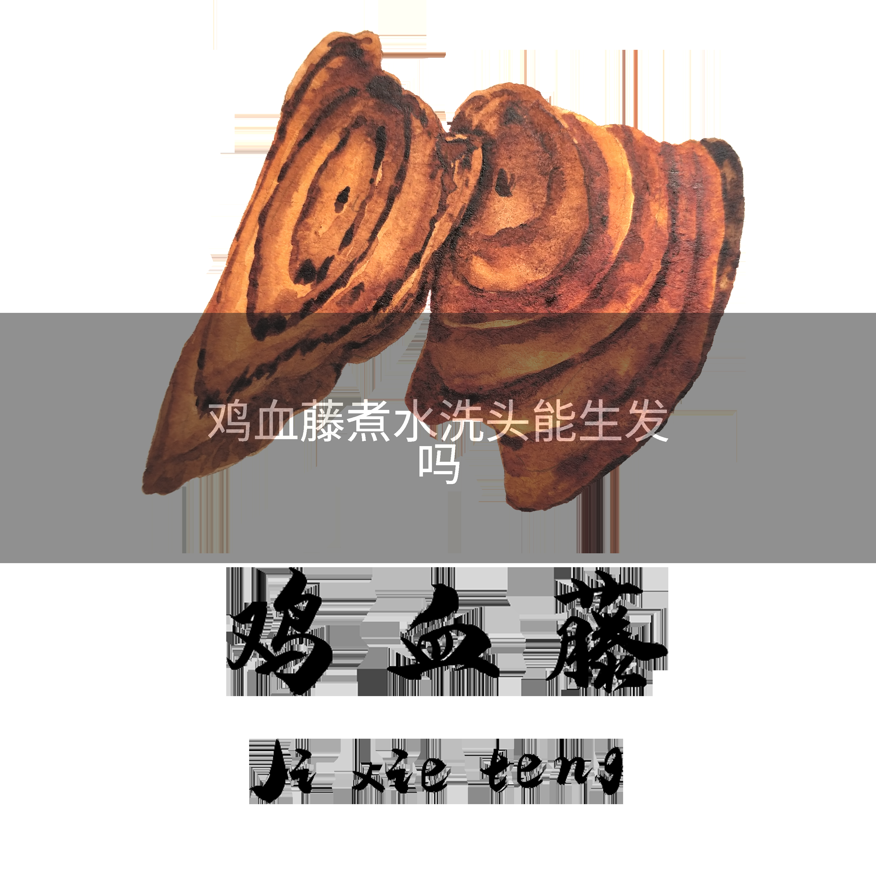 鸡血藤煮水洗头能生发吗