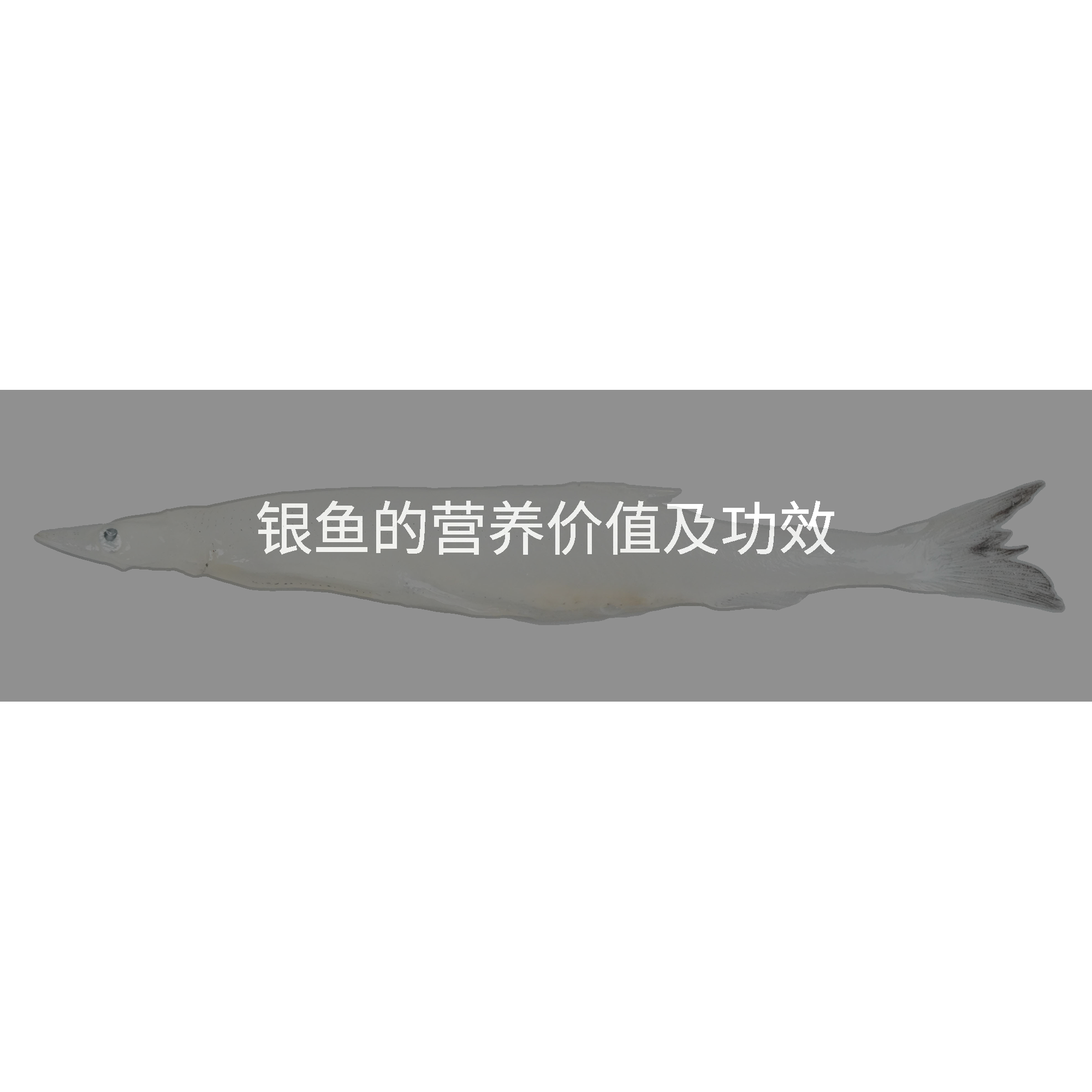 银鱼的营养价值及功效