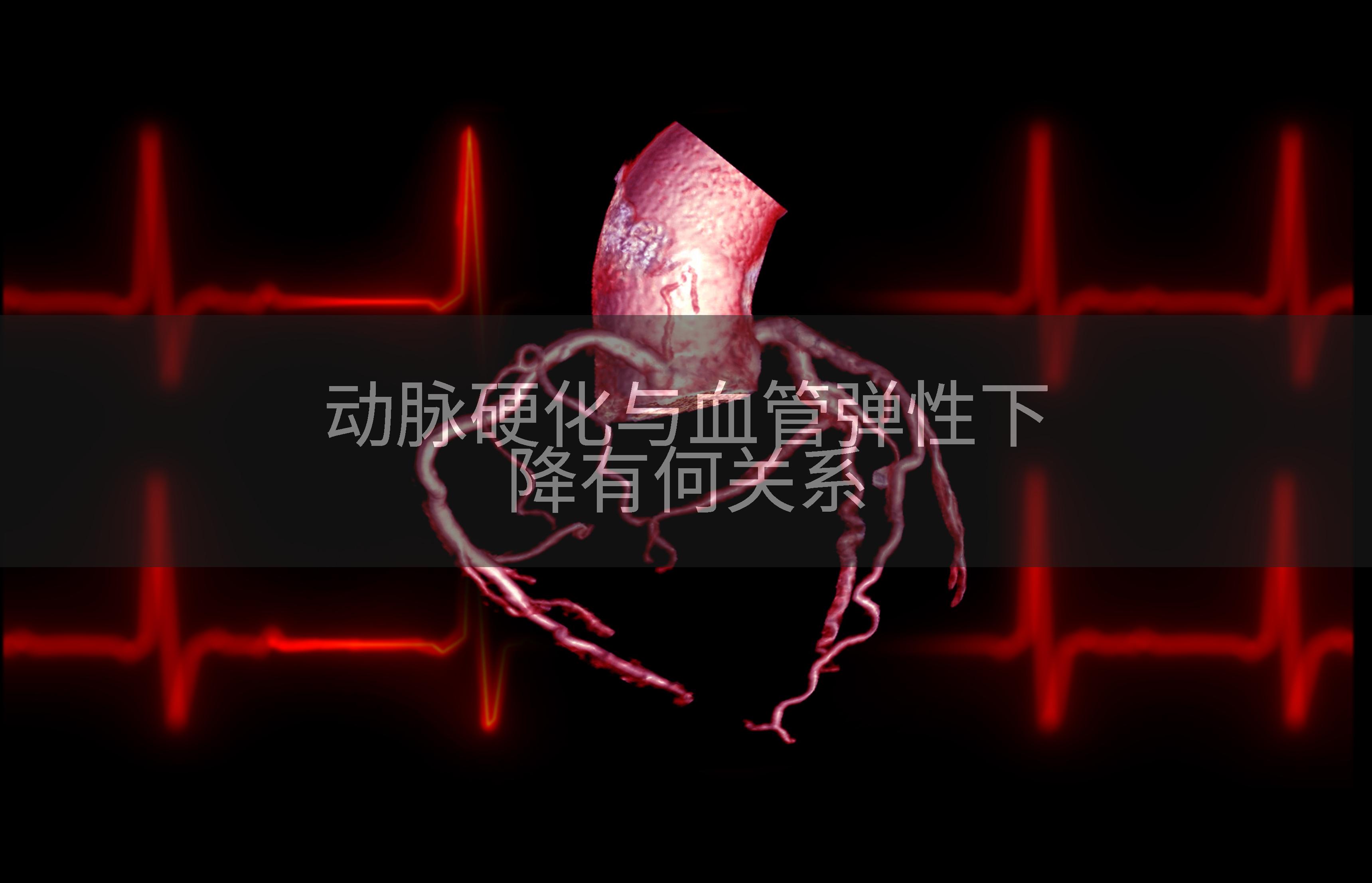 动脉硬化与血管弹性下降有何关系