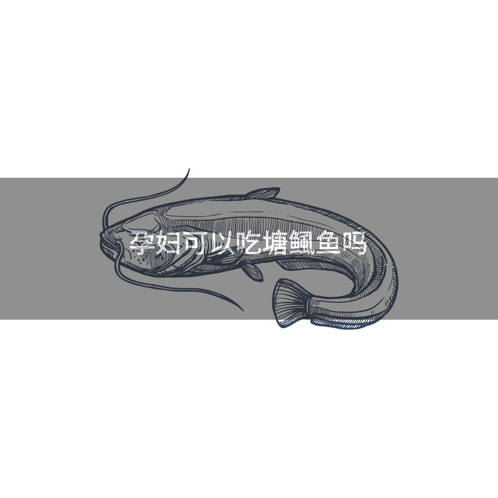 孕妇可以吃塘鲺鱼吗