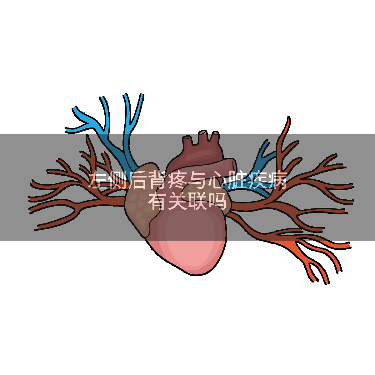 左侧后背疼与心脏疾病有关联吗