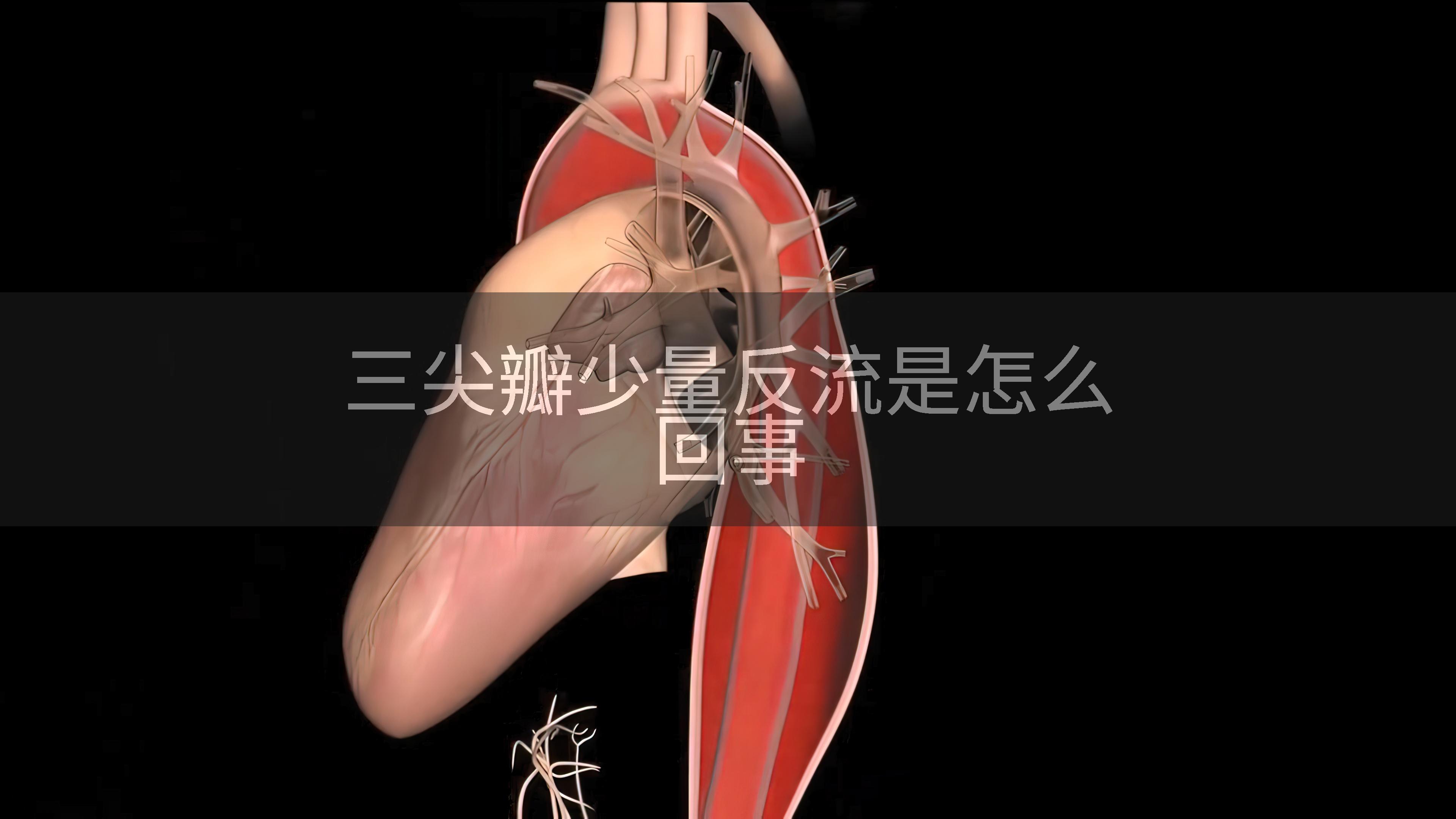 三尖瓣少量反流是怎么回事