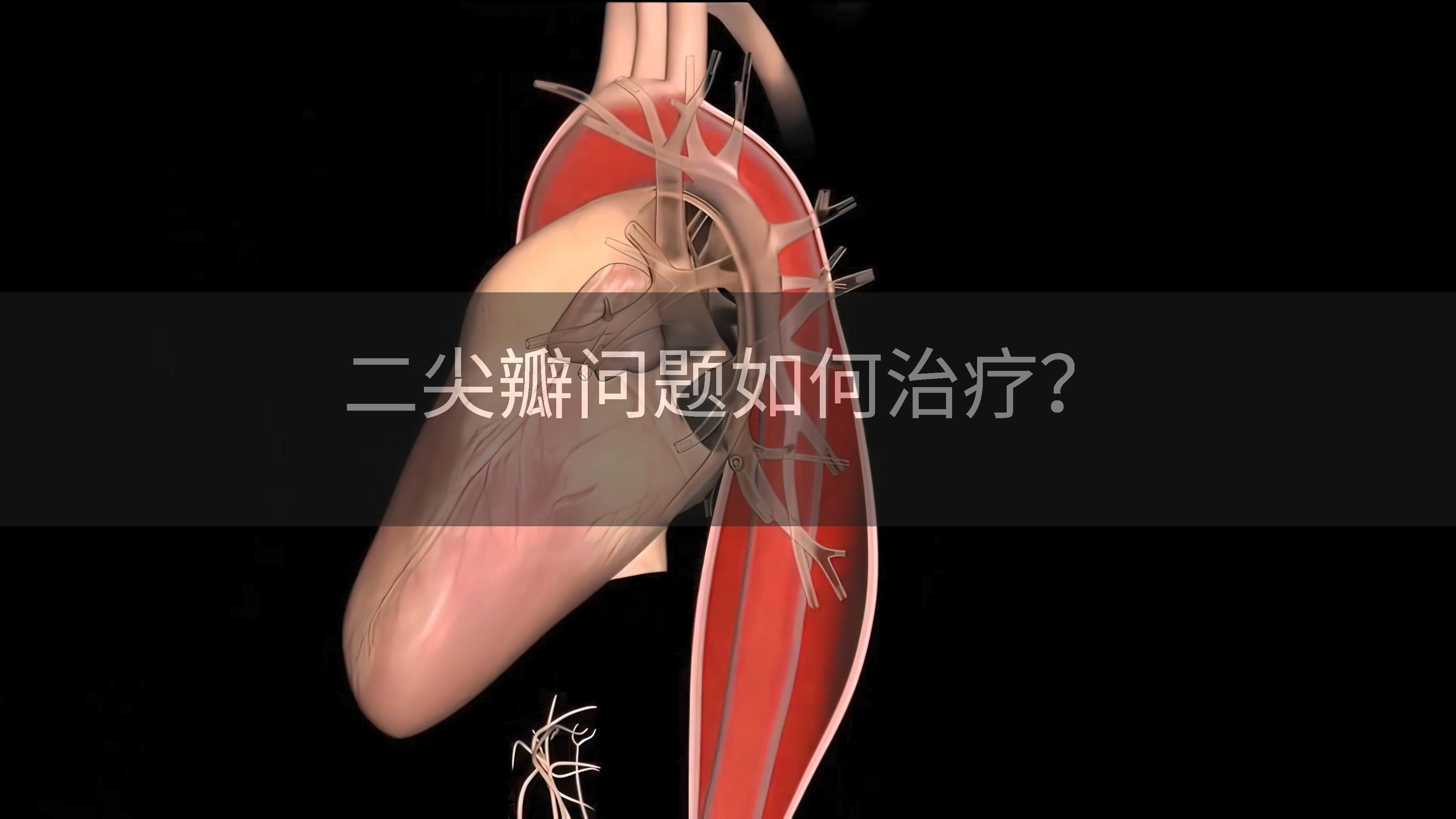 二尖瓣问题如何治疗？