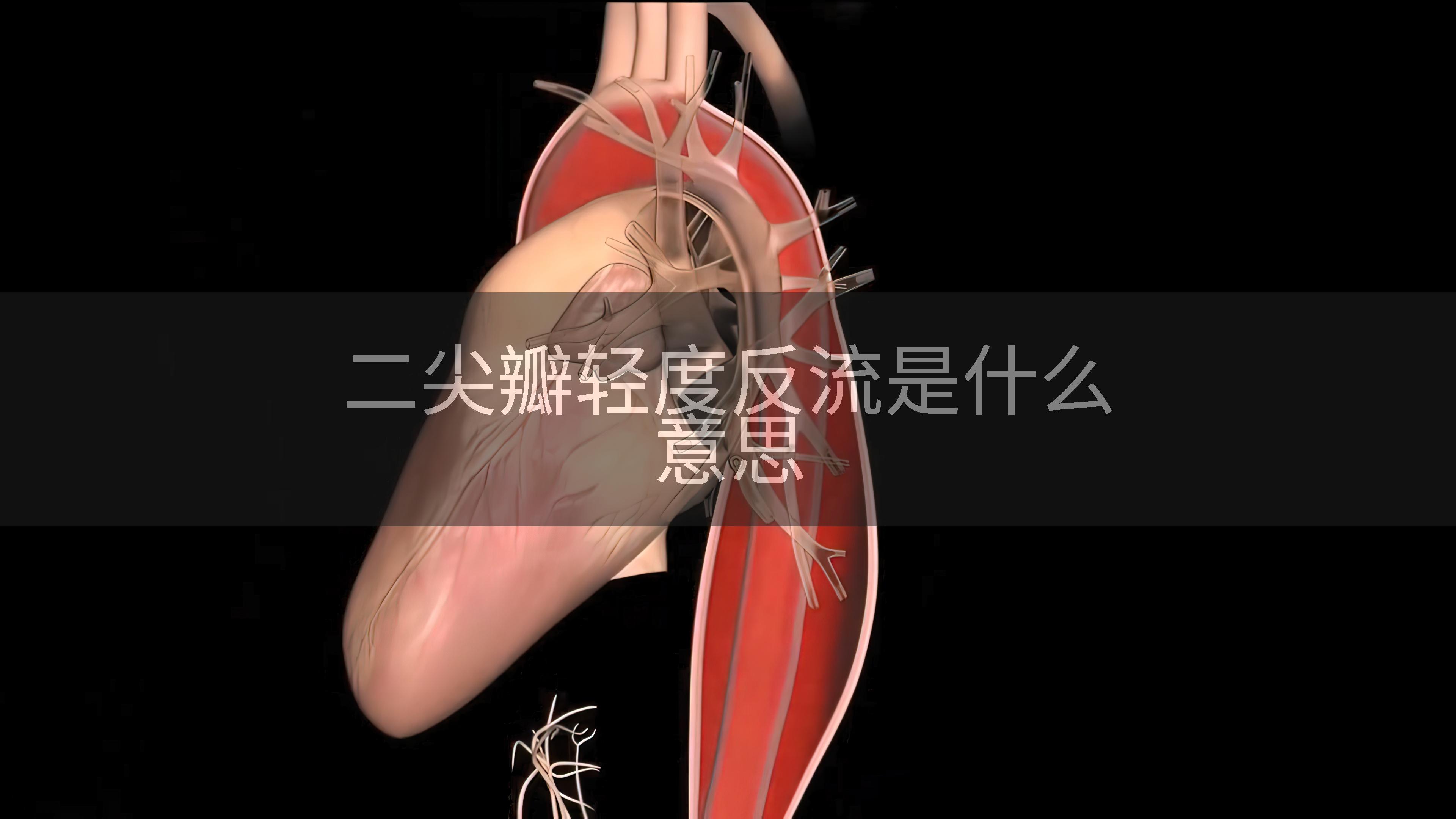 二尖瓣轻度反流是什么意思