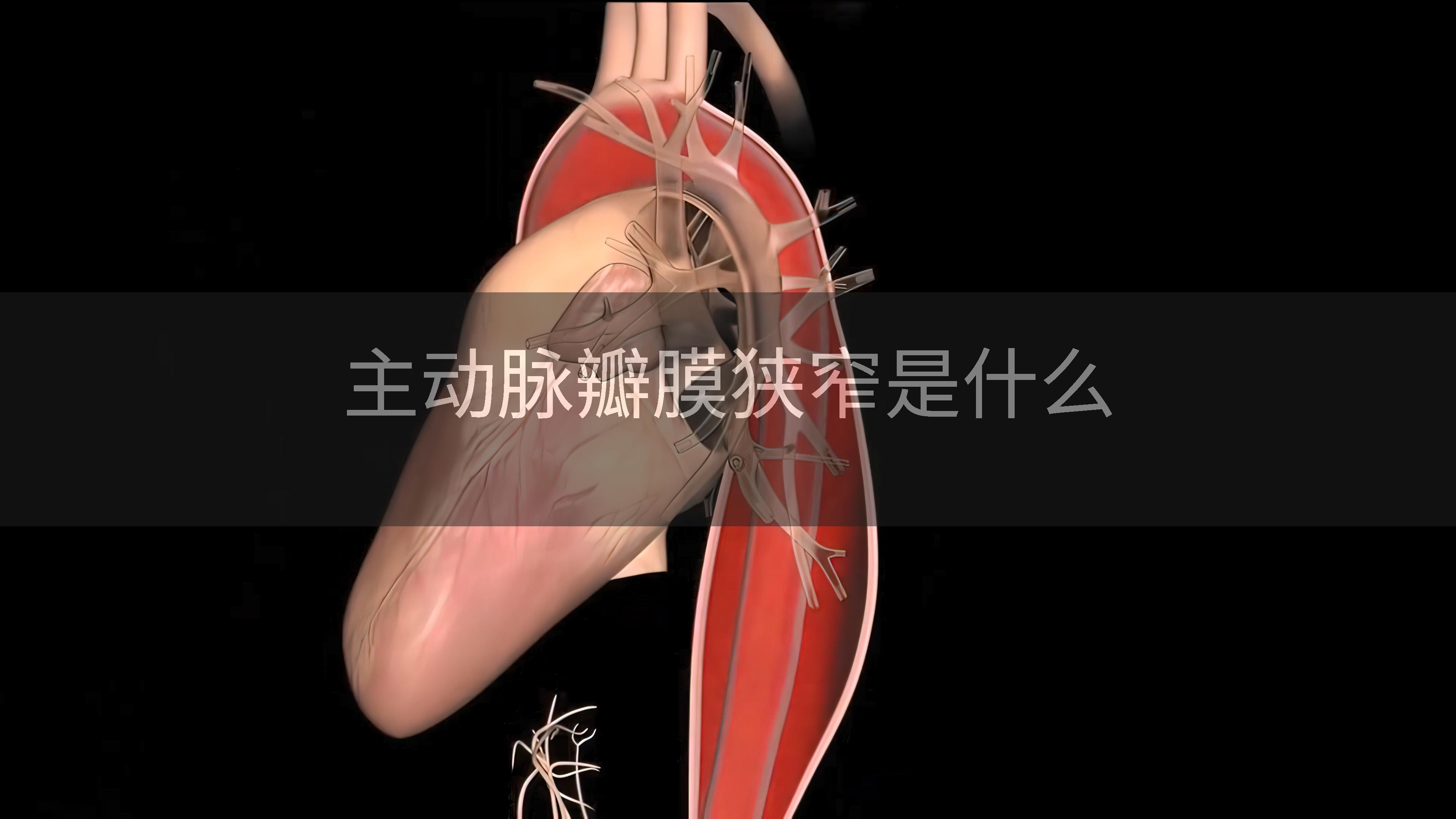 主动脉瓣膜狭窄是什么