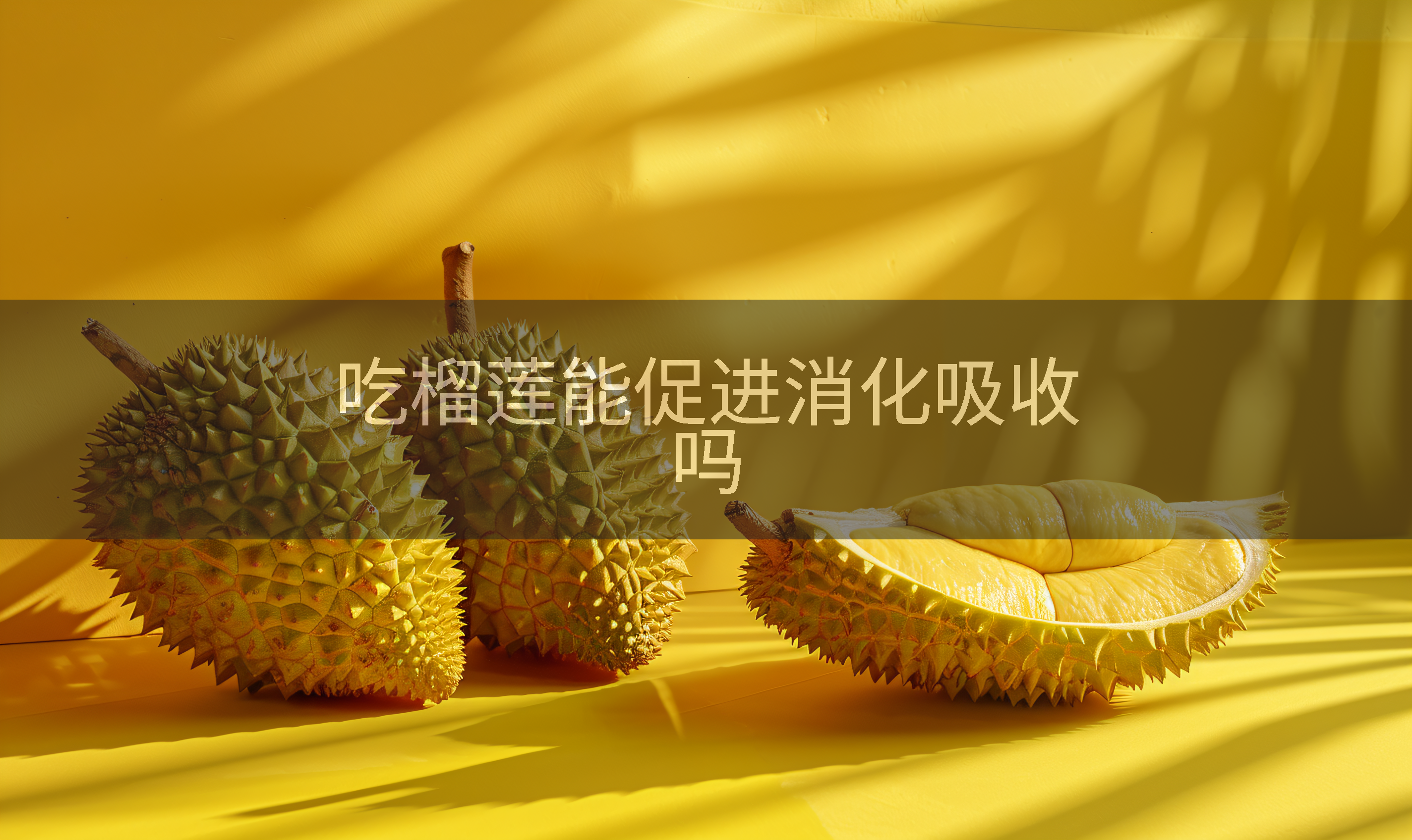 吃榴莲能促进消化吸收吗
