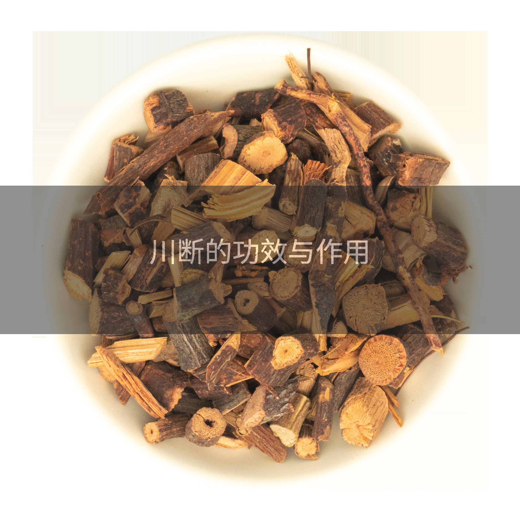 川断的功效与作用