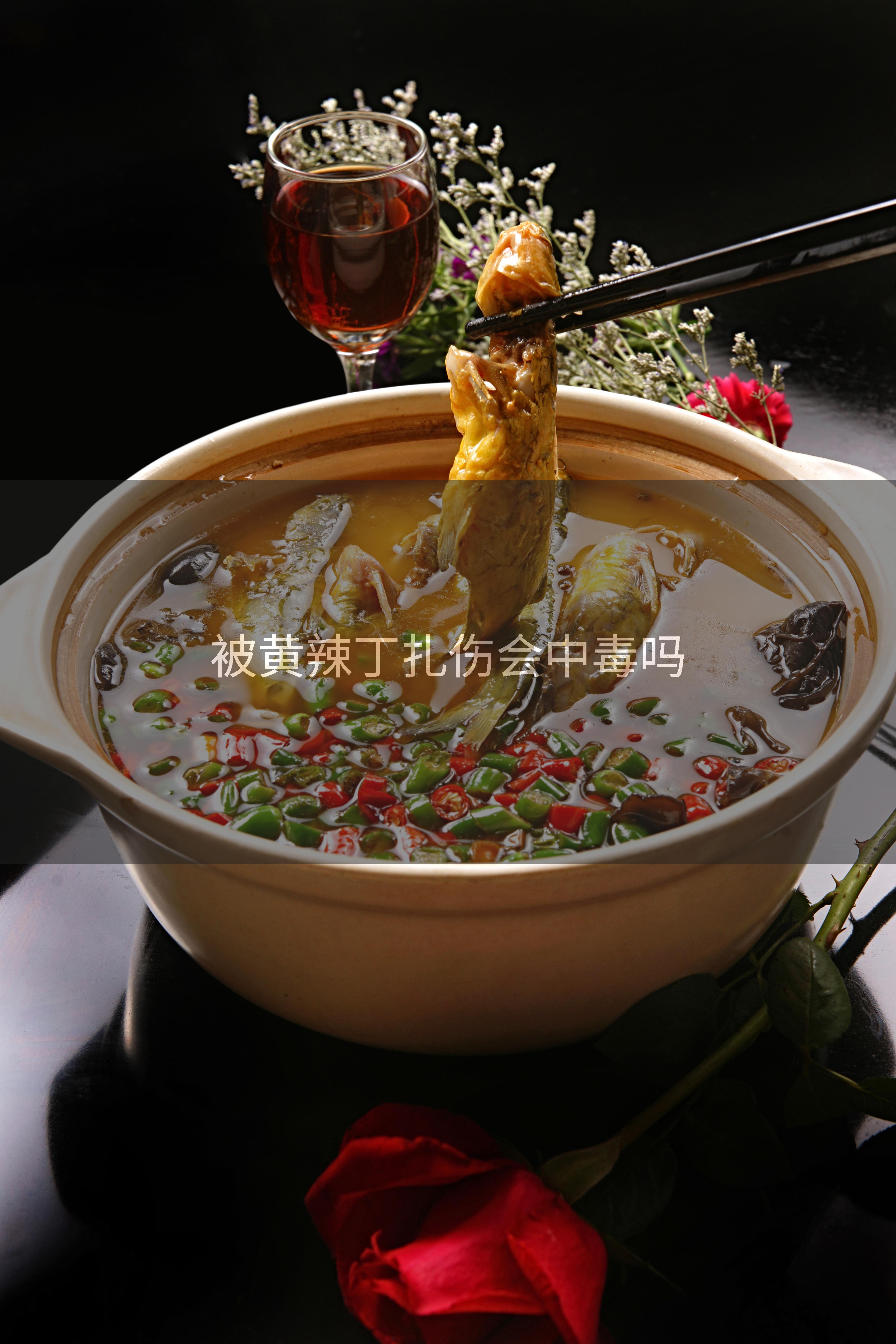被黄辣丁扎伤会中毒吗