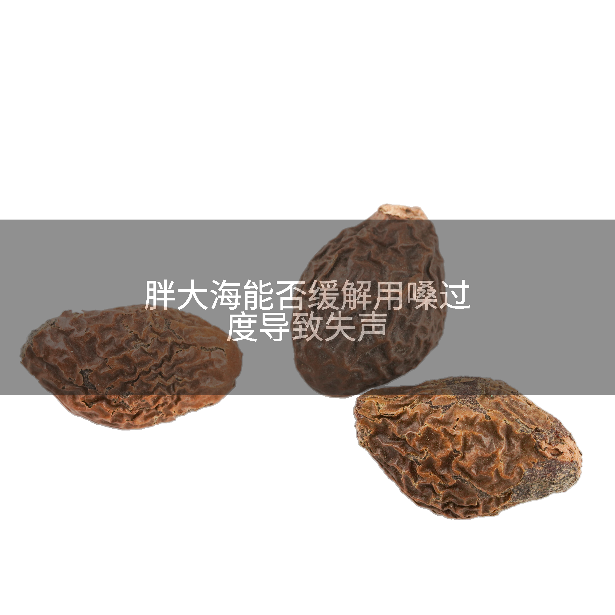 胖大海能否缓解用嗓过度导致失声