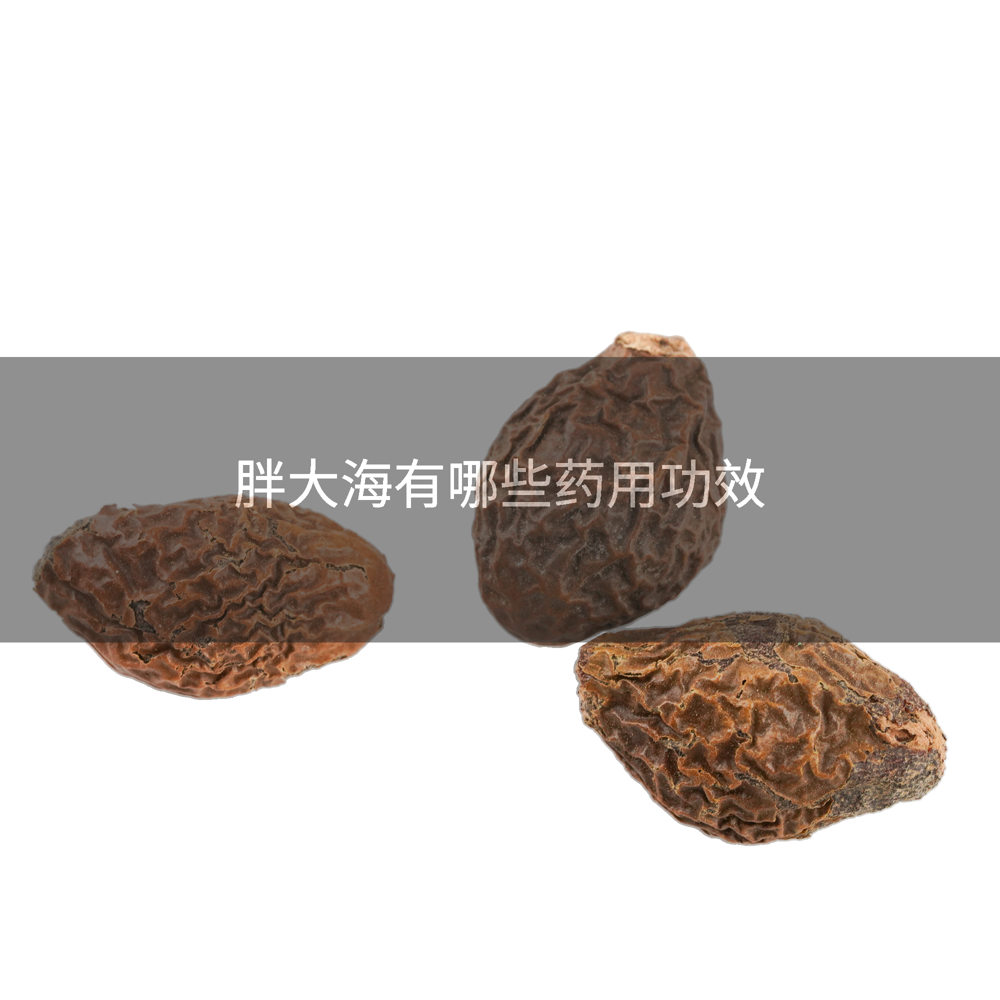 胖大海有哪些药用功效