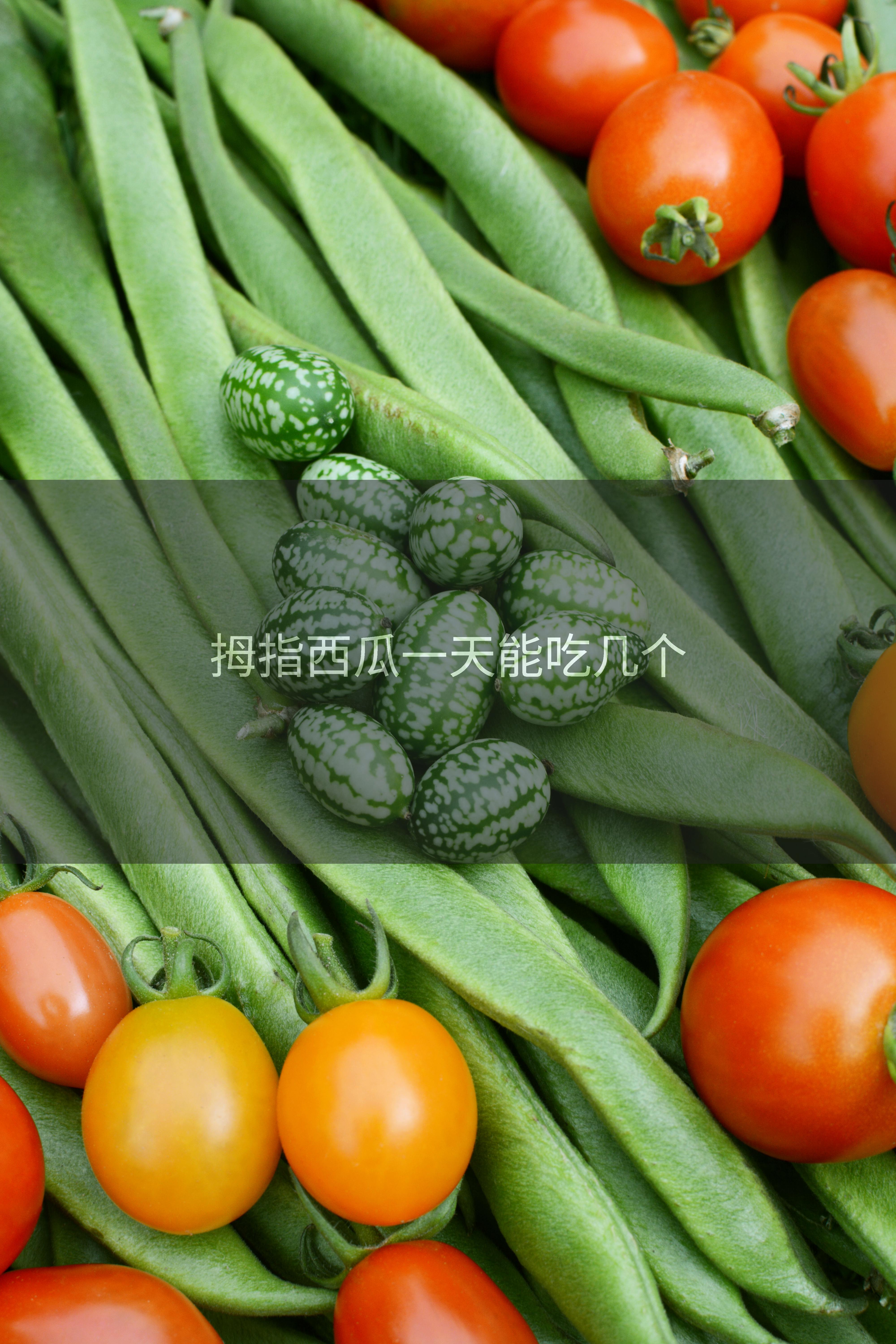 拇指西瓜一天能吃几个