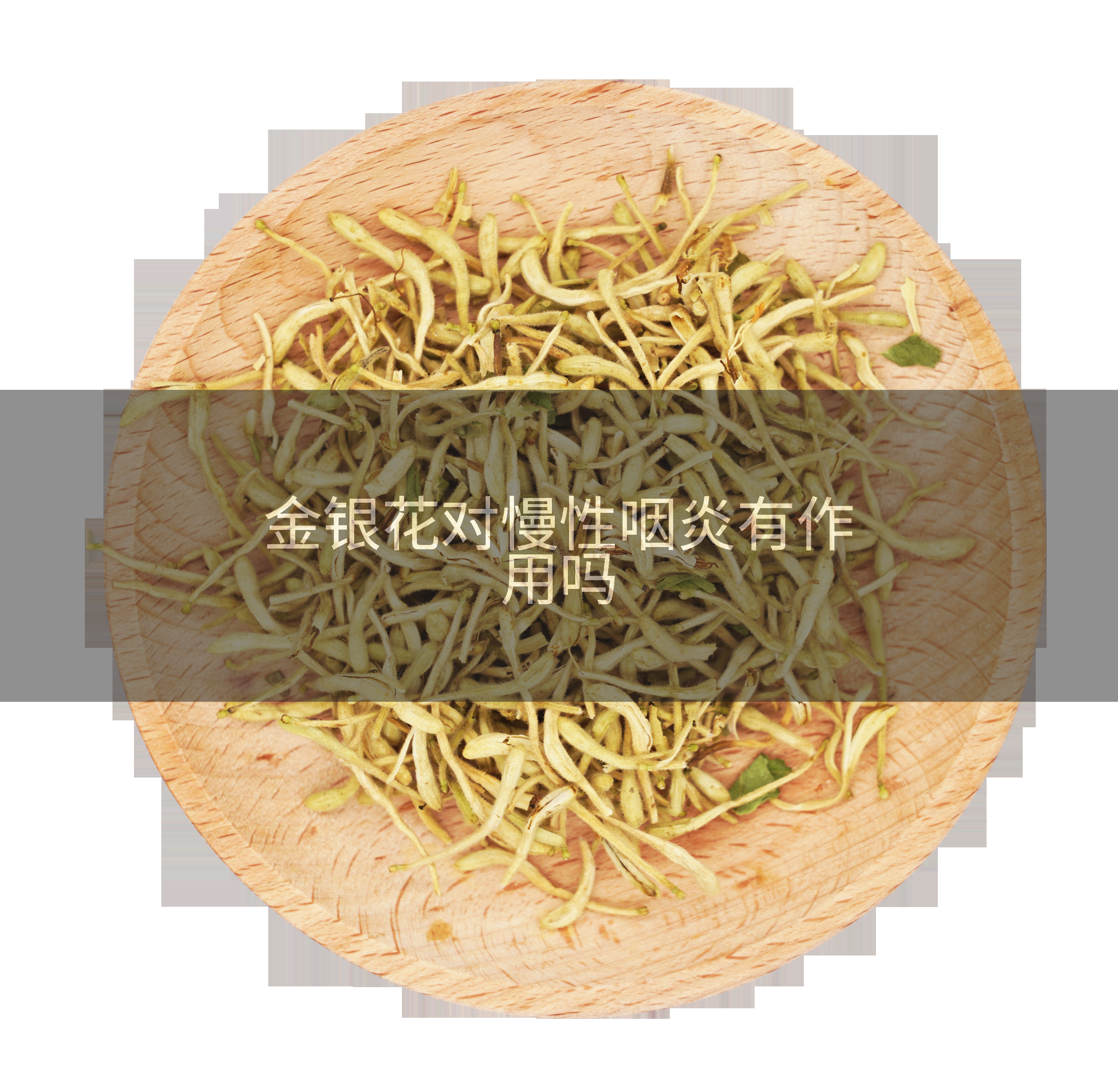 金银花对慢性咽炎有作用吗