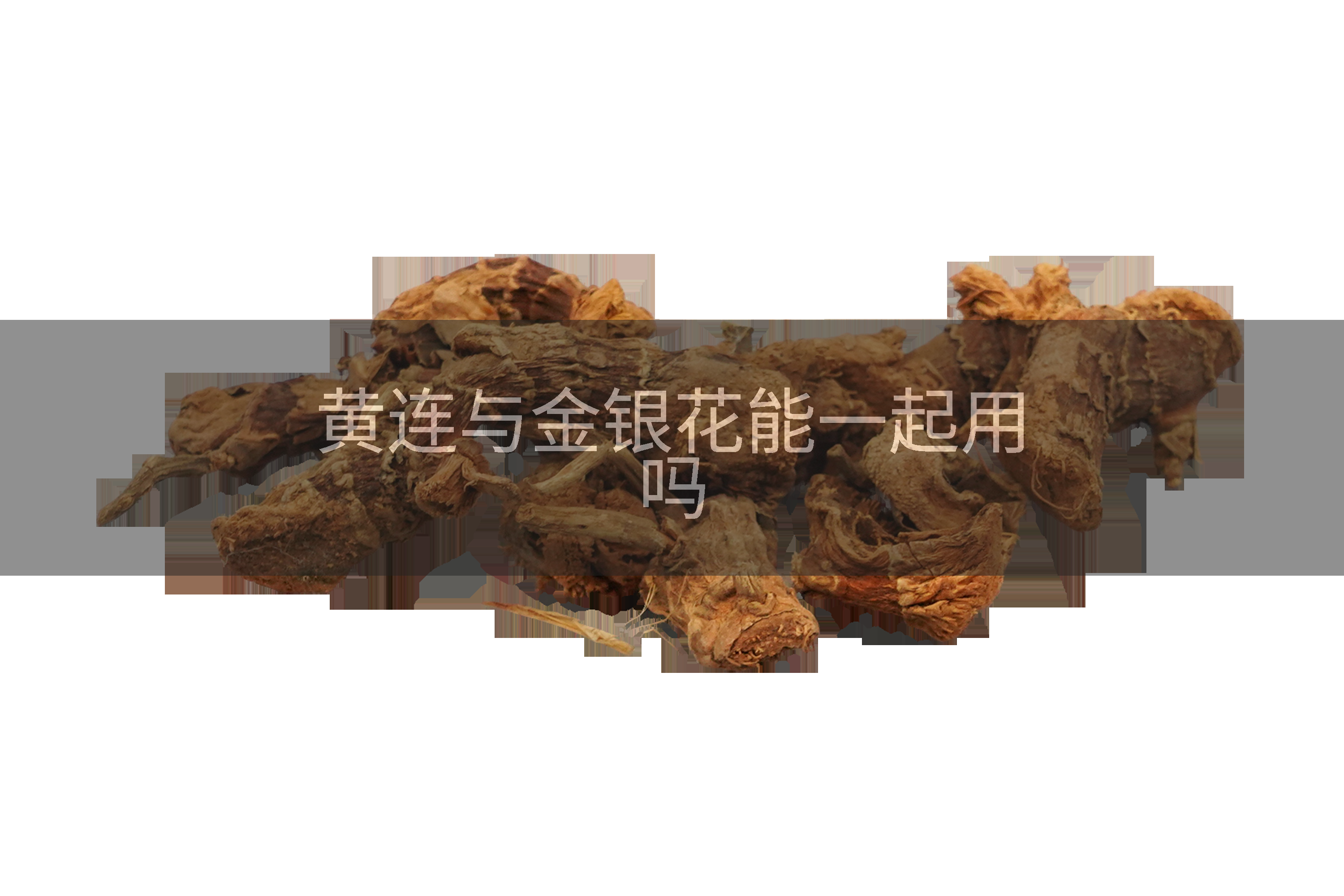 黄连与金银花能一起用吗