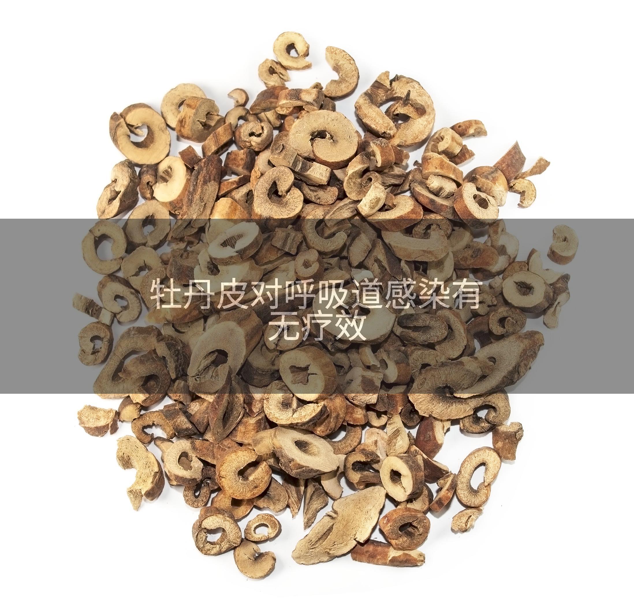 牡丹皮对呼吸道感染有无疗效