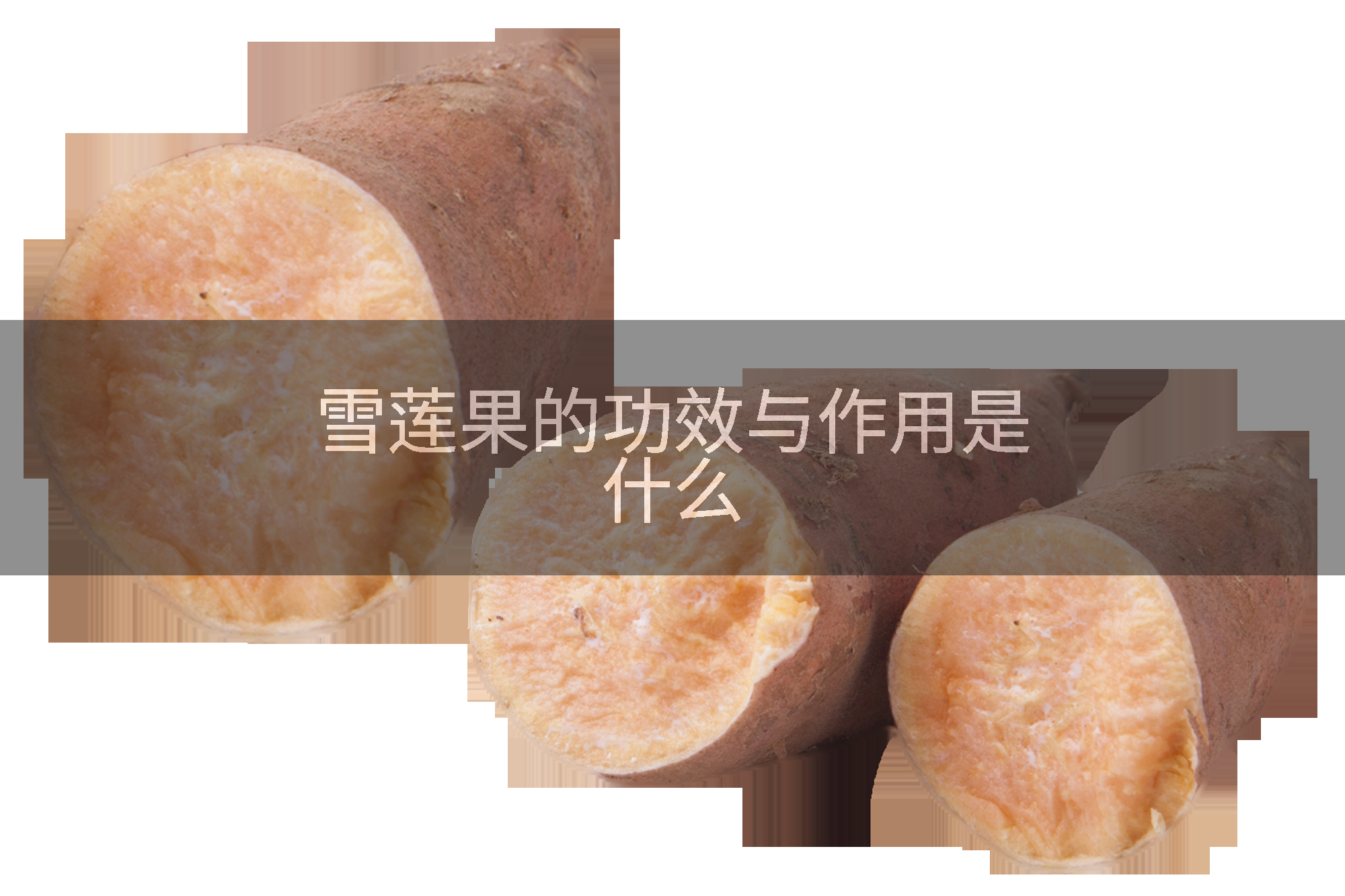 雪莲果的功效与作用是什么