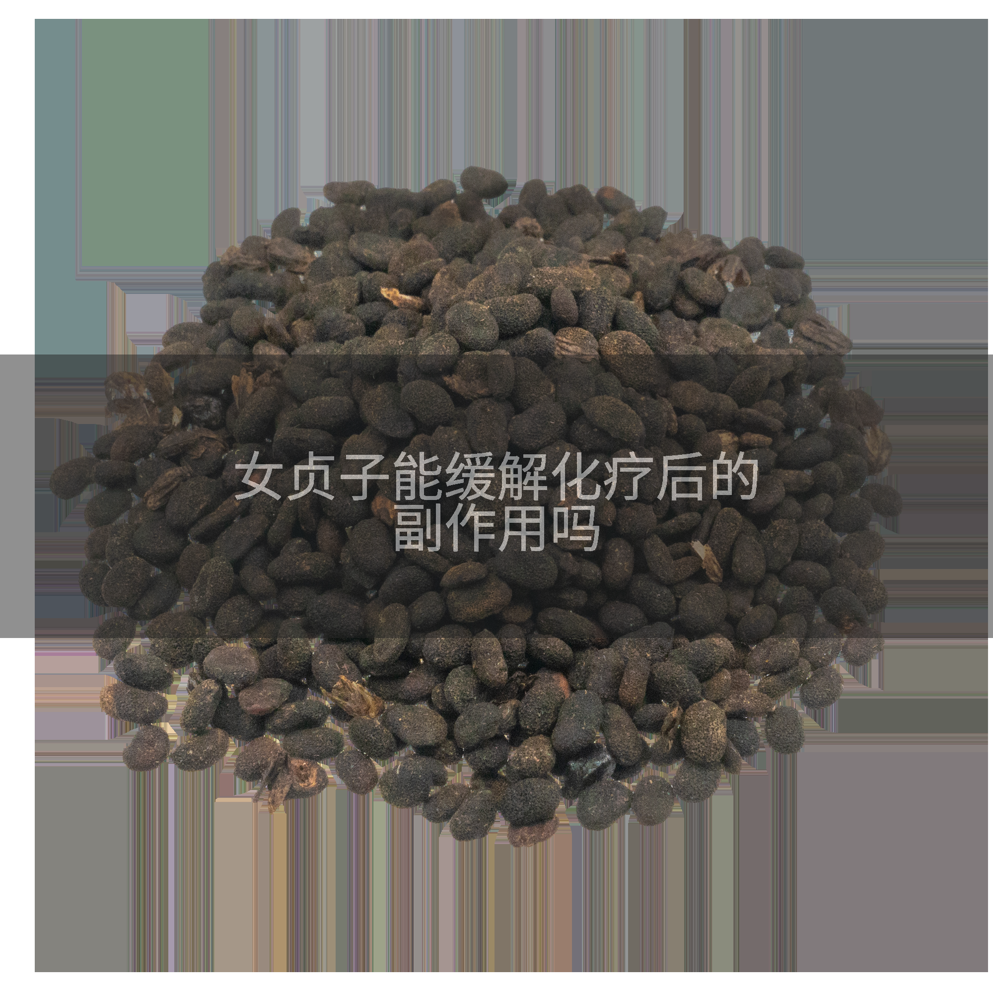 女贞子能缓解化疗后的副作用吗