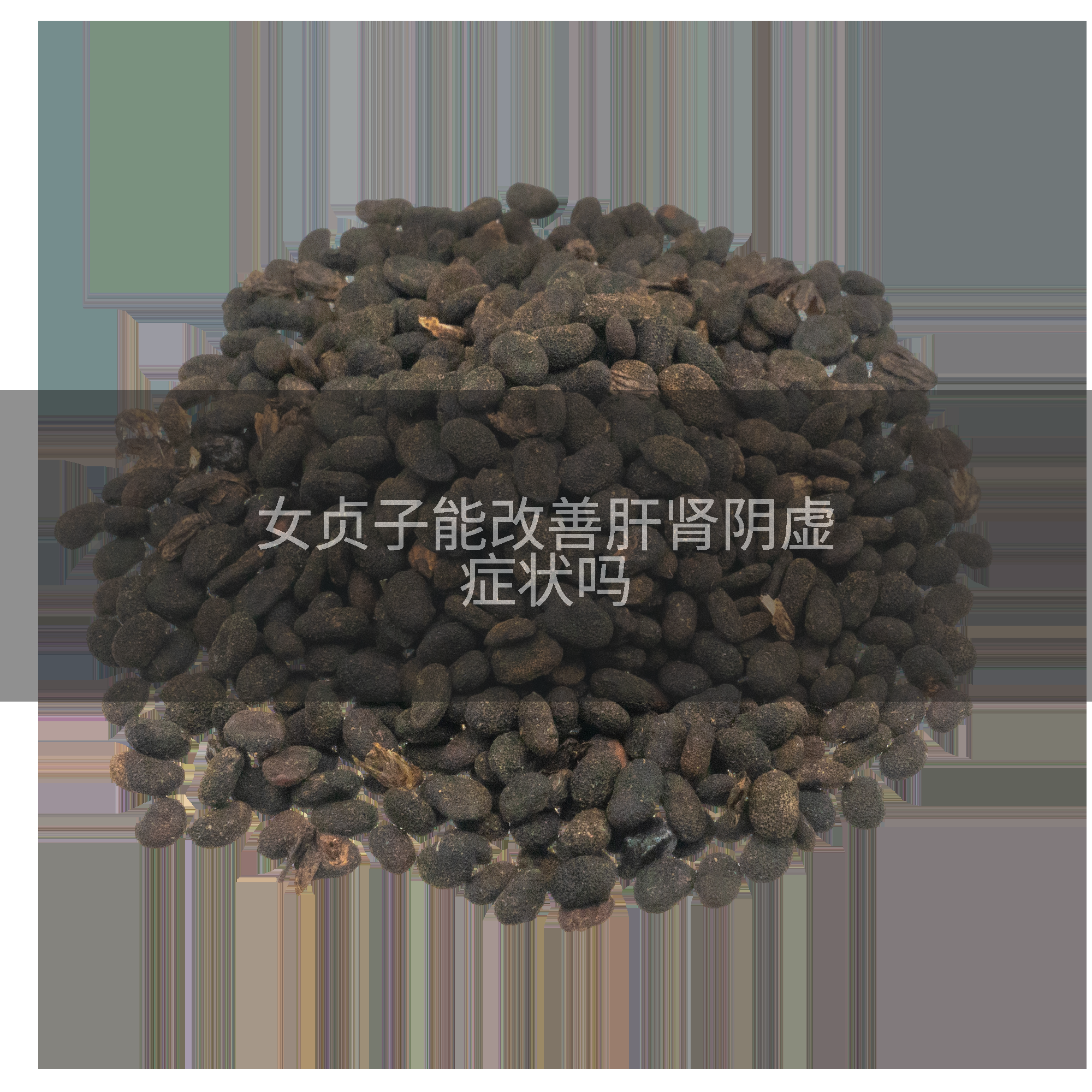 女贞子能改善肝肾阴虚症状吗