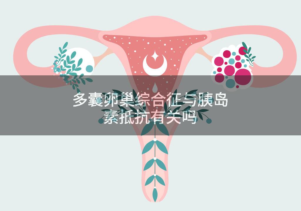 多囊卵巢综合征与胰岛素抵抗有关吗