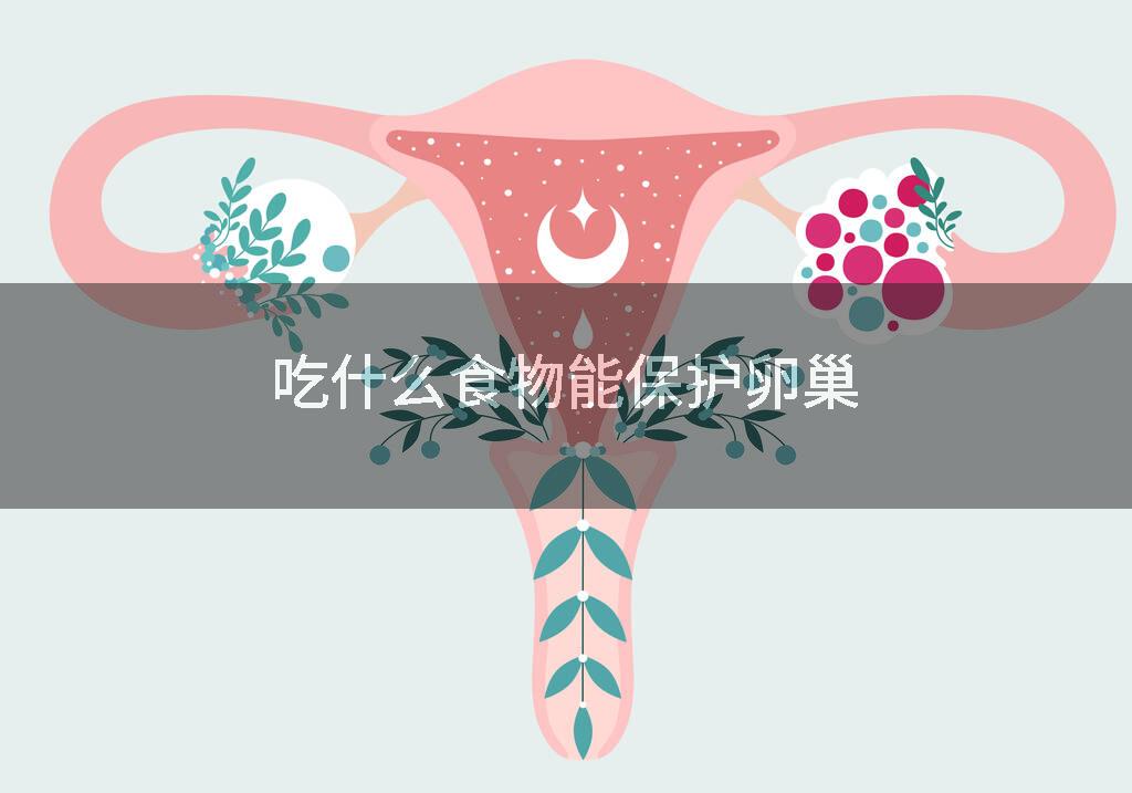 吃什么食物能保护卵巢
