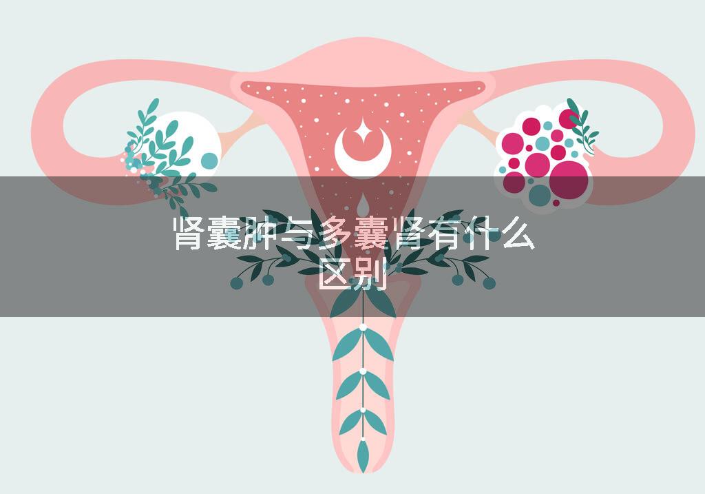 肾囊肿与多囊肾有什么区别