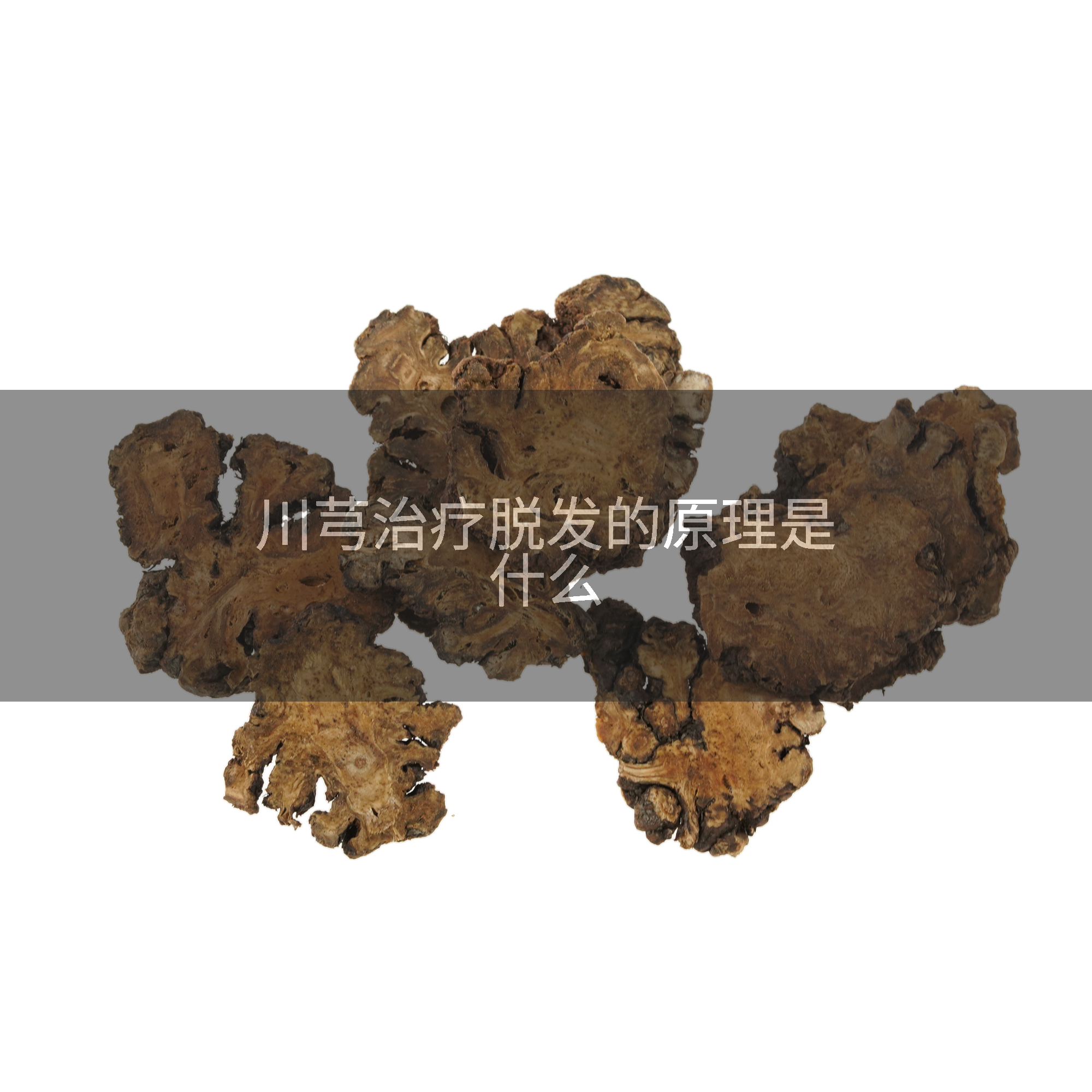 川芎治疗脱发的原理是什么